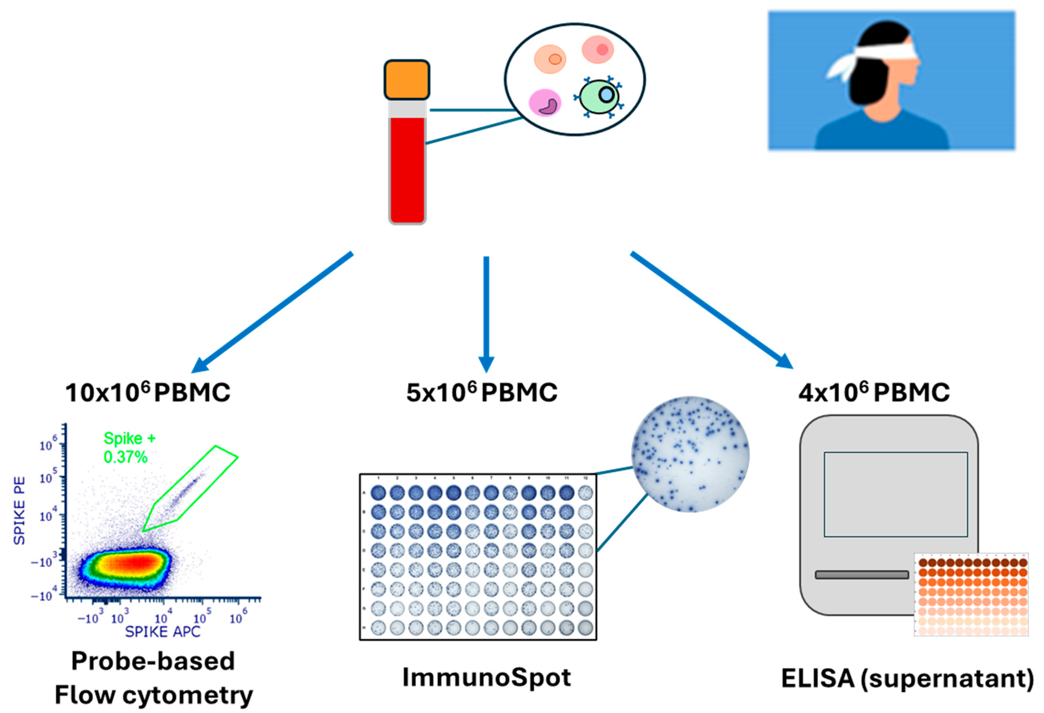 Vaccines 14 00020 g001