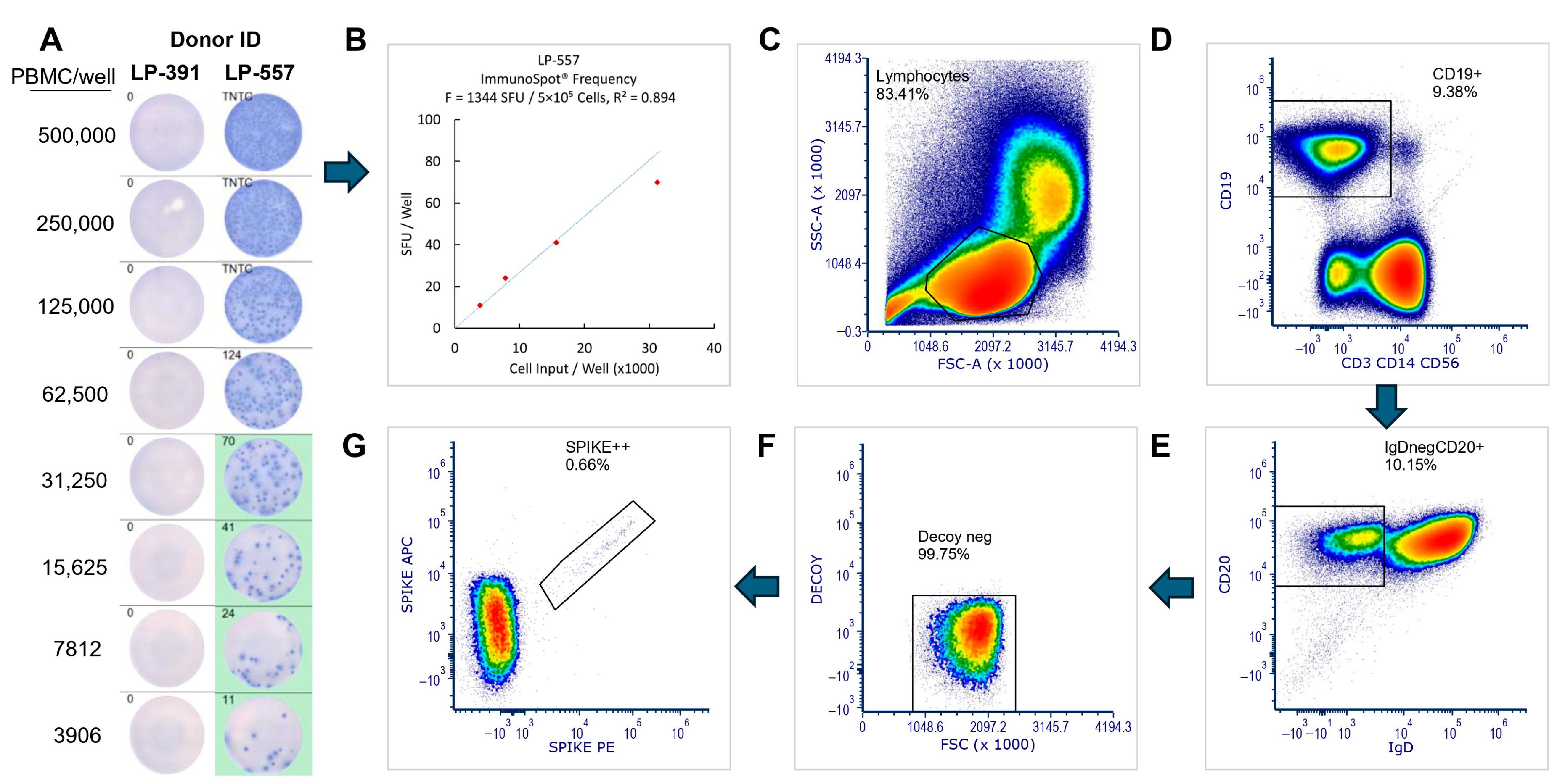 Vaccines 14 00020 g004