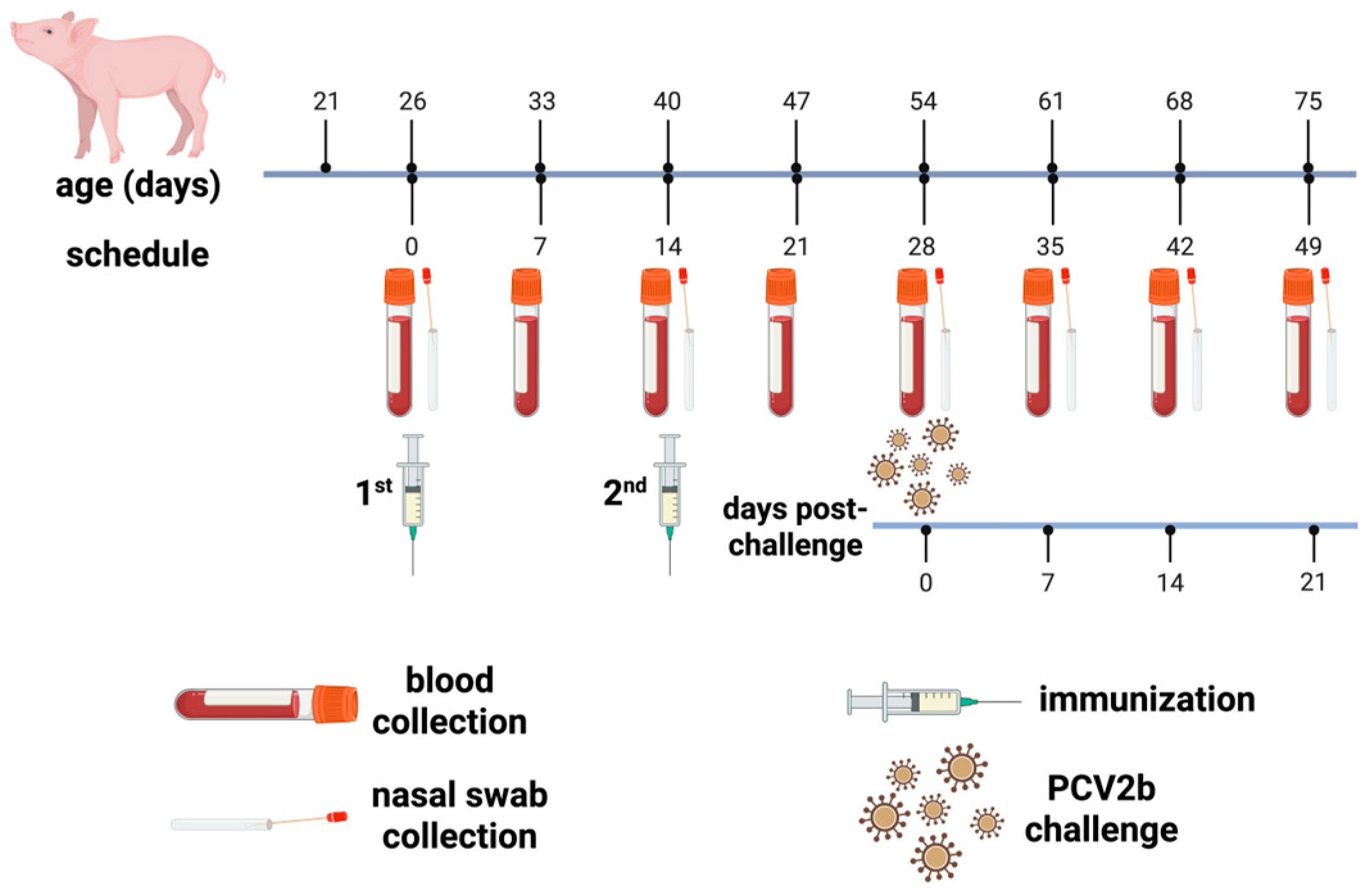 Vaccines 14 00024 g001