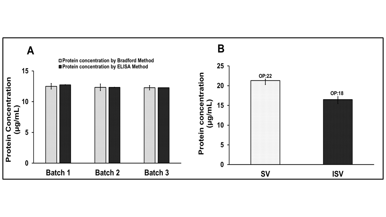 Vaccines 14 00025 g008