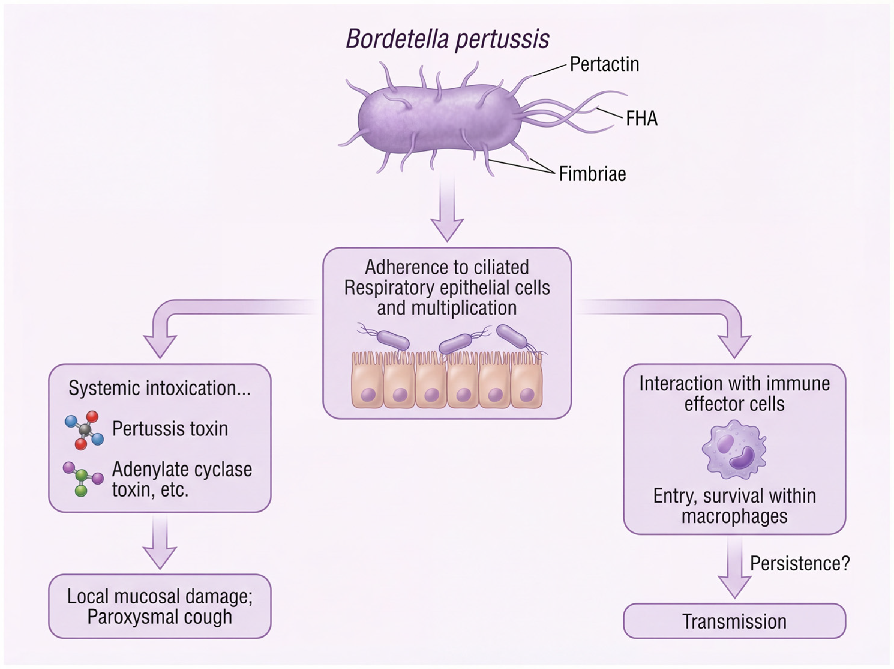 Vaccines 14 00035 g001