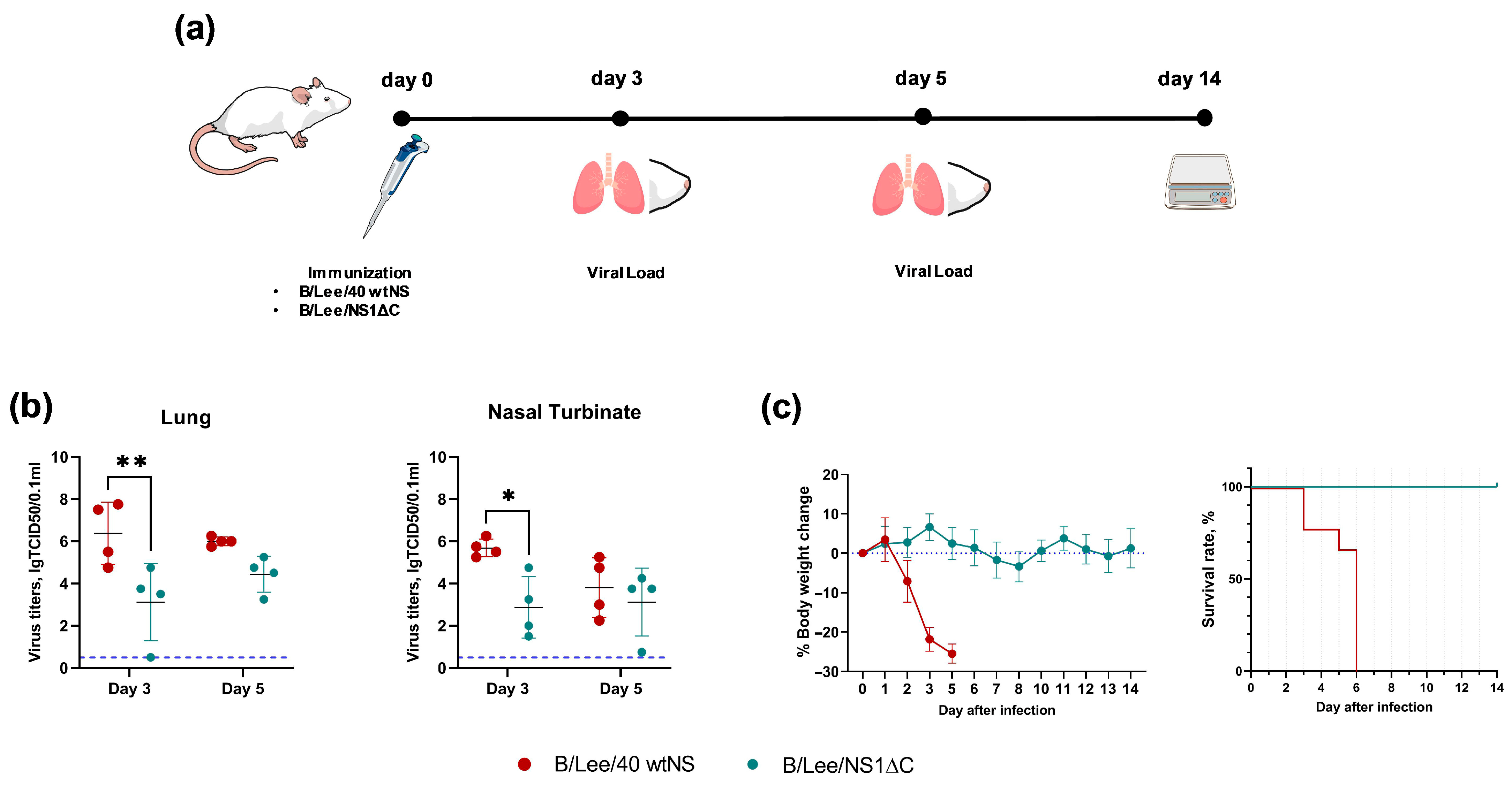 Vaccines 14 00043 g001 Vaccines 14 00043 g001