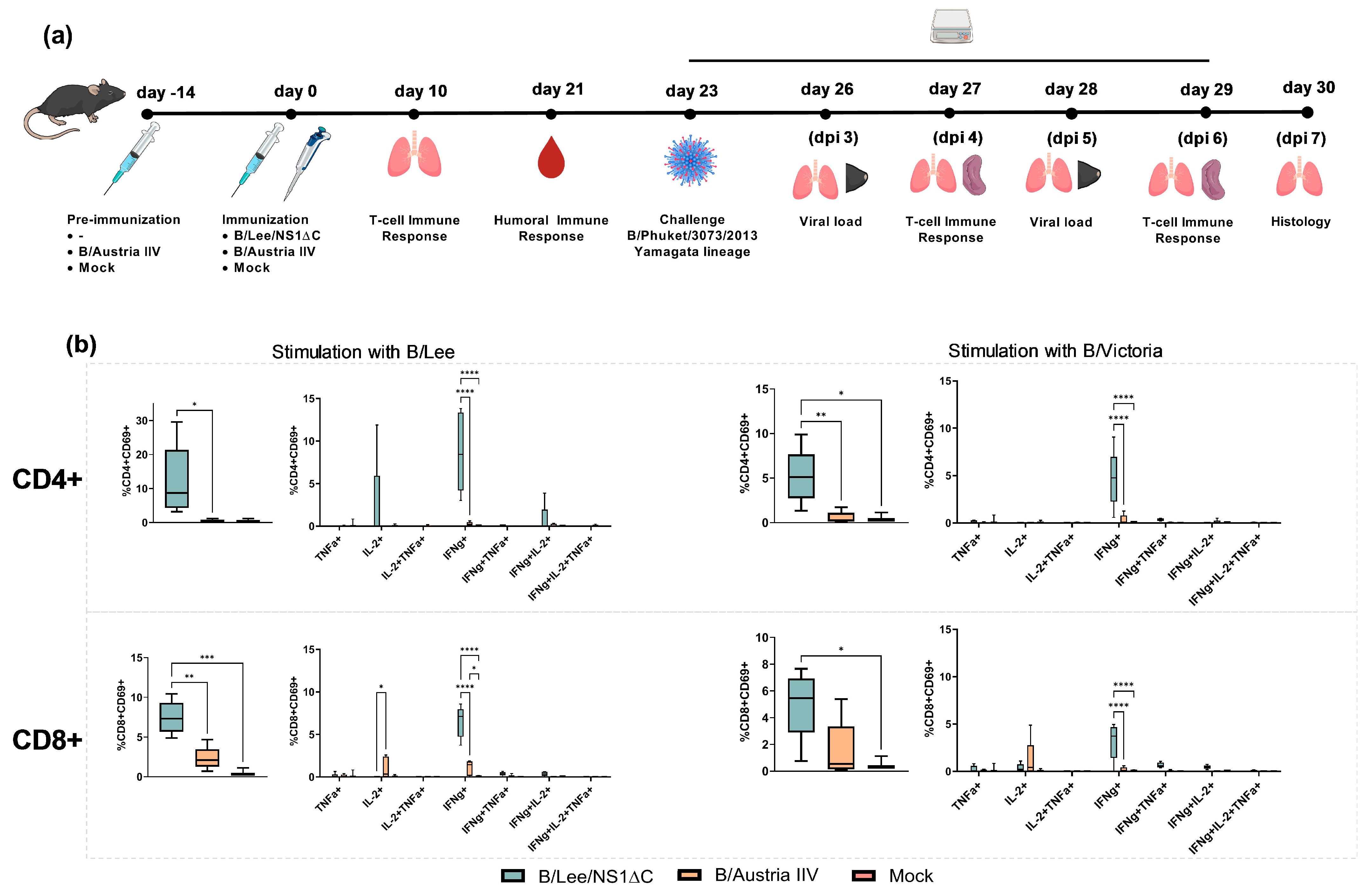 Vaccines 14 00043 g002 Vaccines 14 00043 g002
