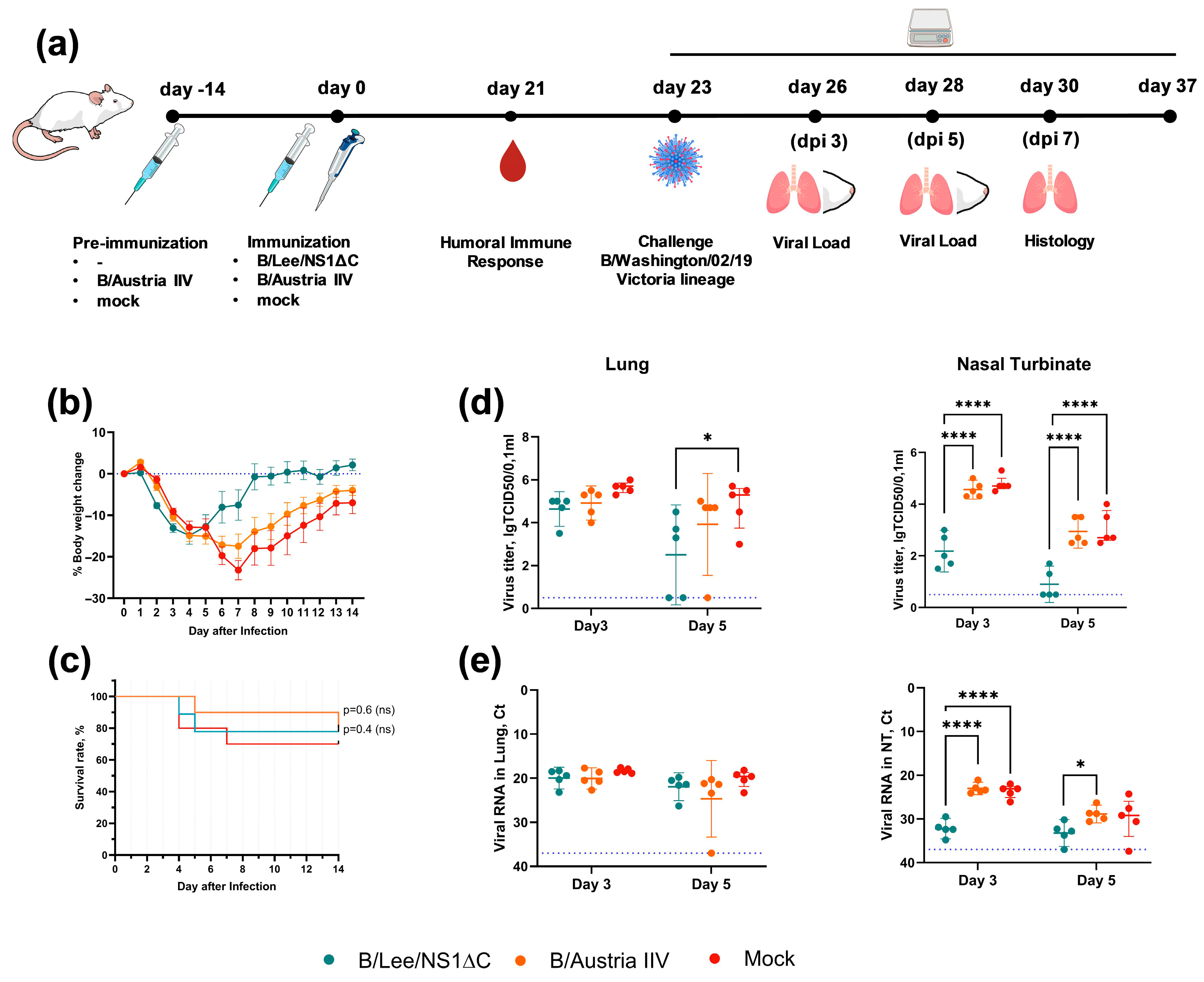 Vaccines 14 00043 g006 Vaccines 14 00043 g006