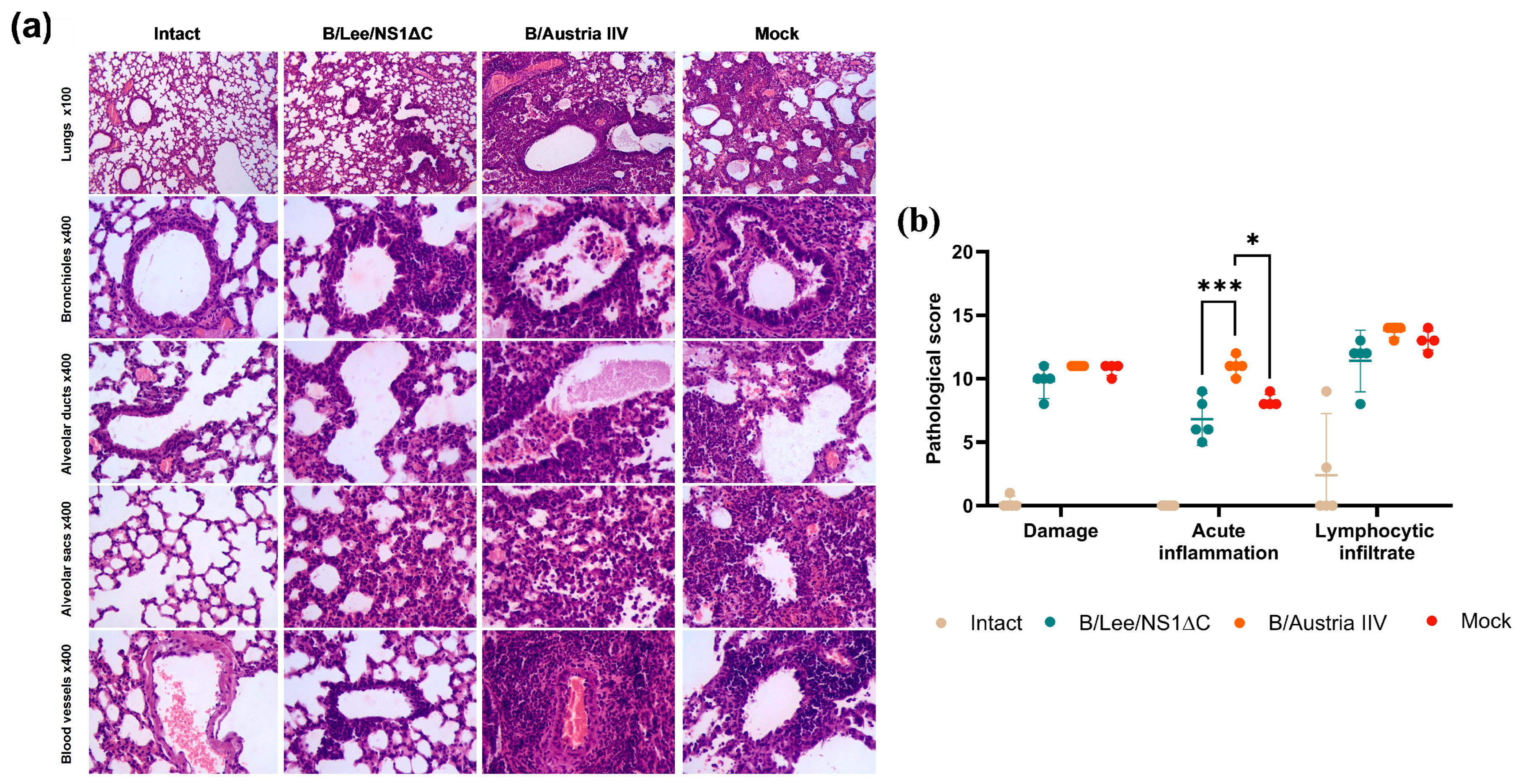 Vaccines 14 00043 g007 Vaccines 14 00043 g007