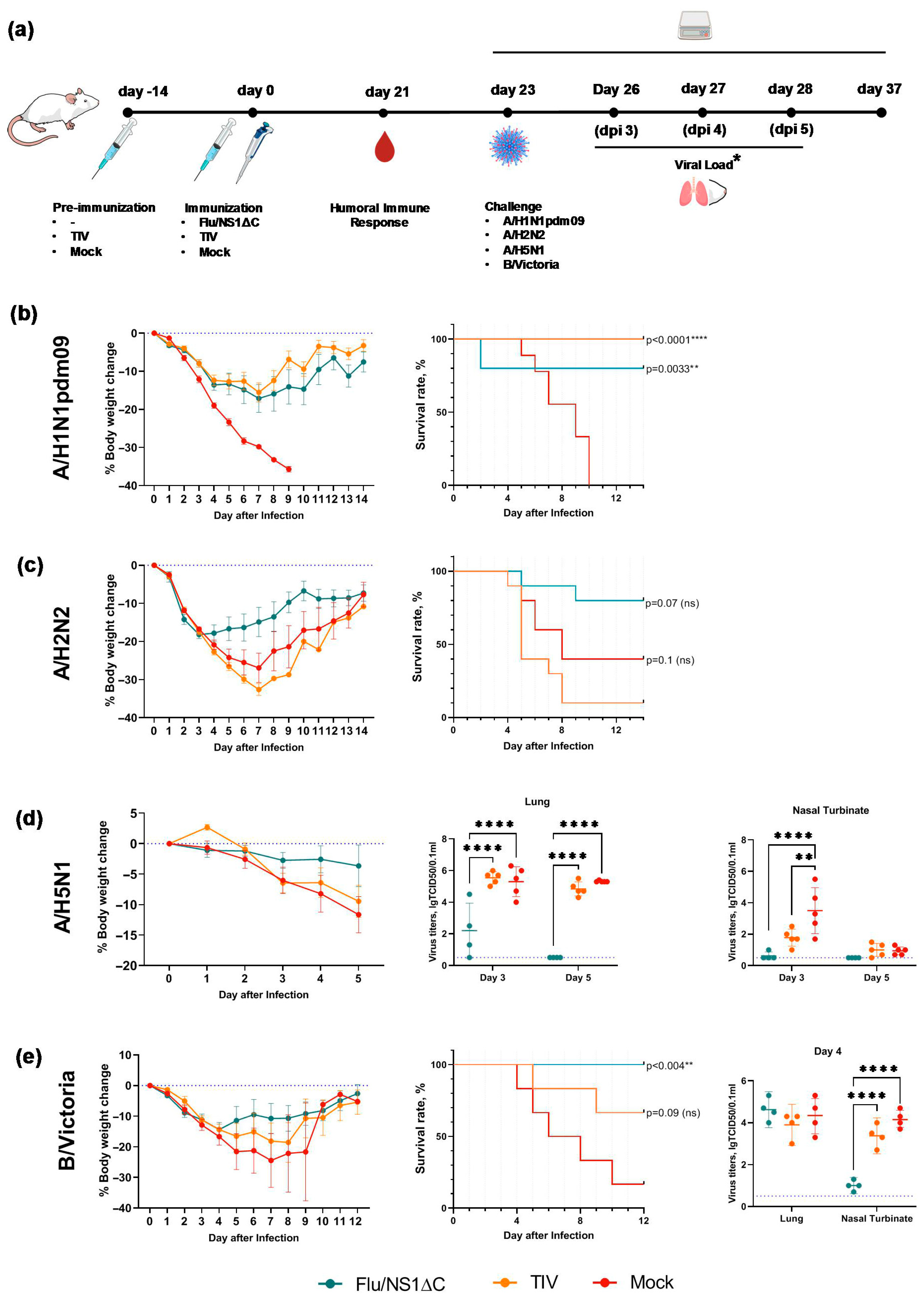 Vaccines 14 00043 g008 Vaccines 14 00043 g008