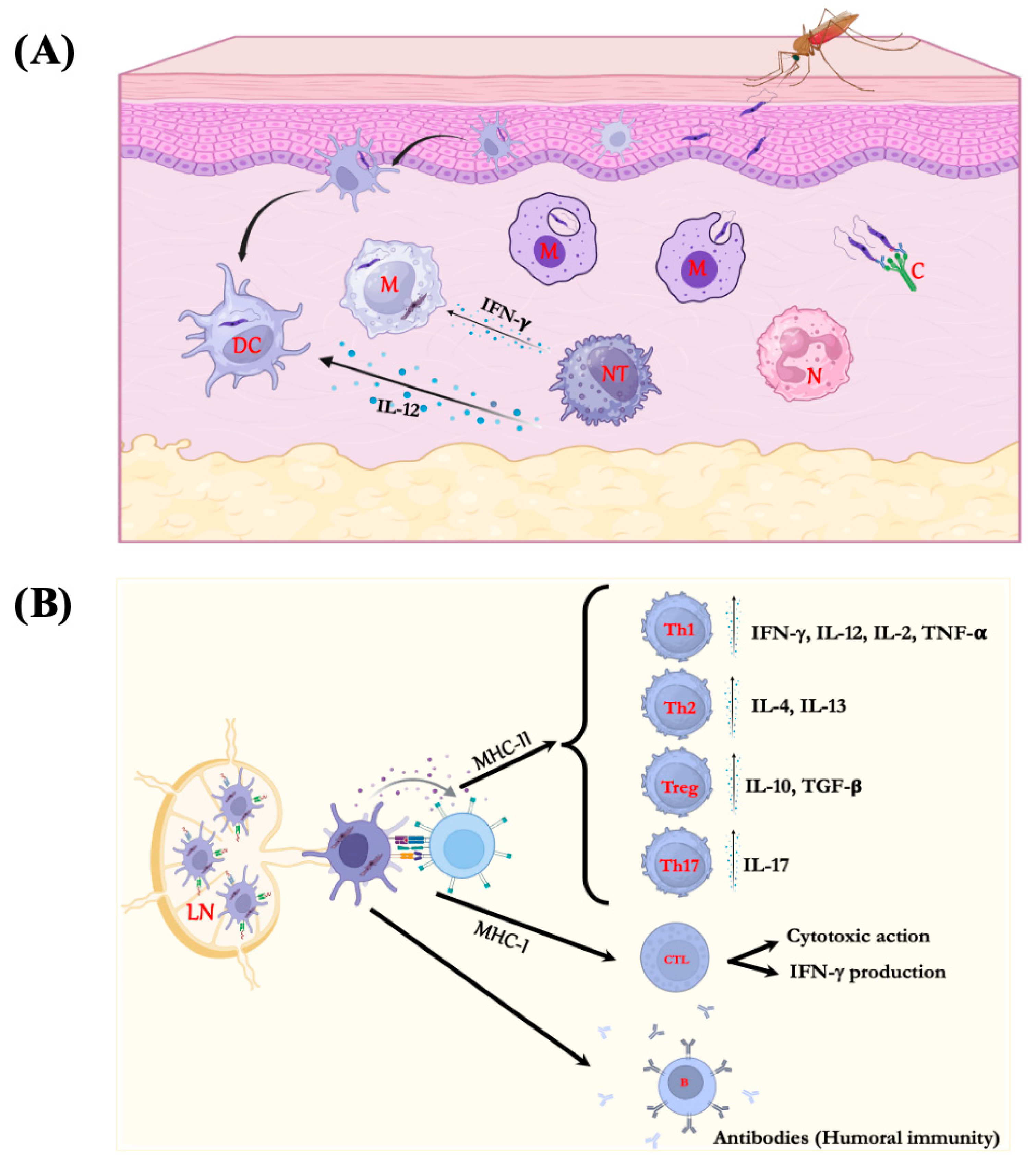 Vaccines 14 00054 g001 Vaccines 14 00054 g001