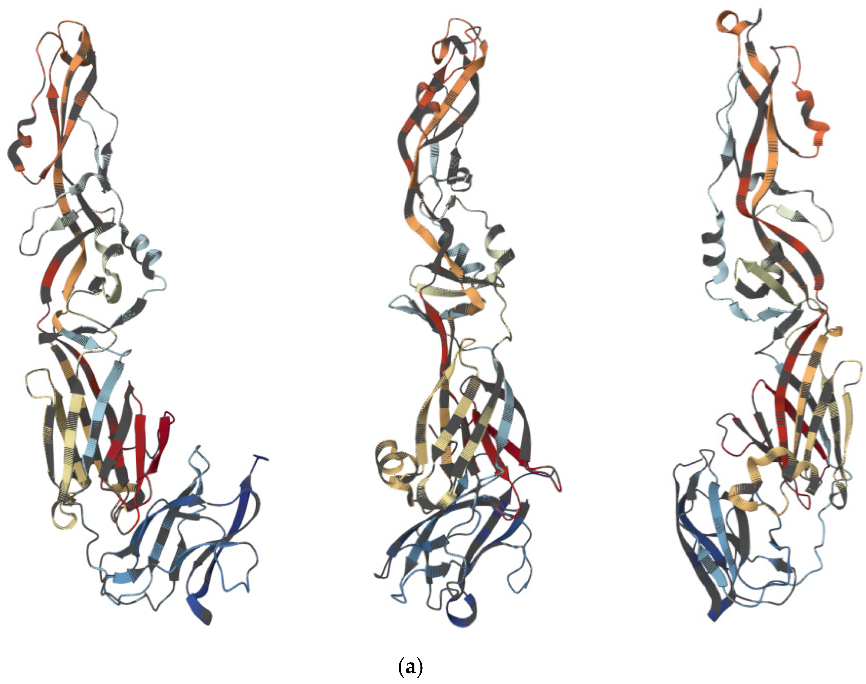 Vaccines 14 00057 g001a Vaccines 14 00057 g001a