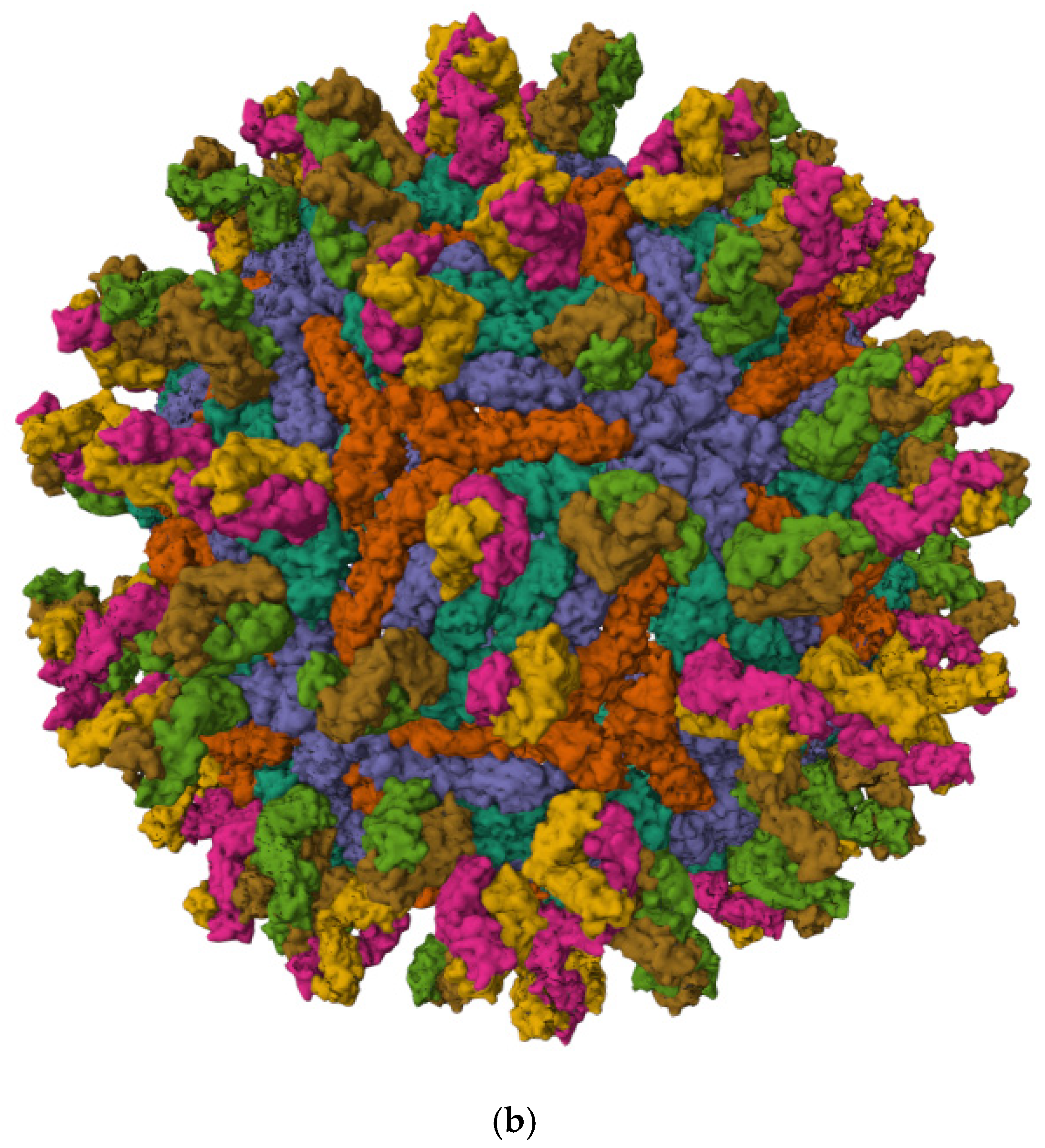 Vaccines 14 00057 g001b Vaccines 14 00057 g001b