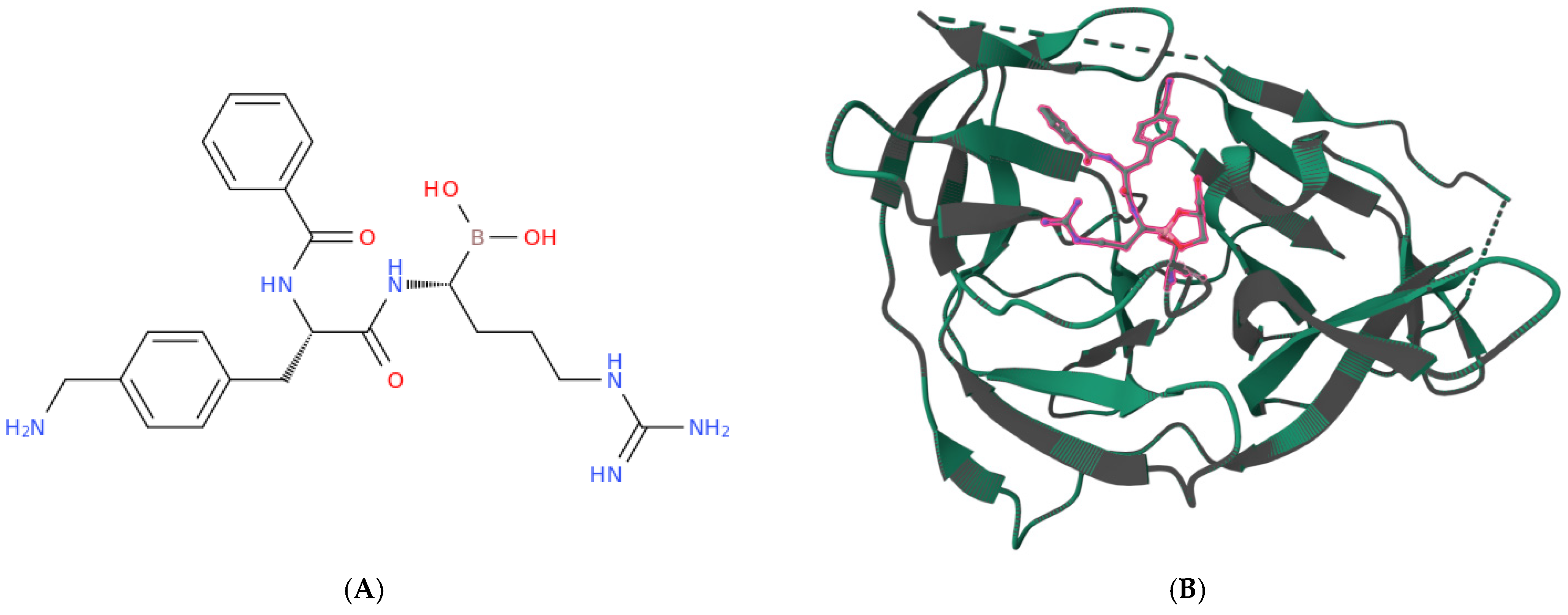 Vaccines 14 00057 g004 Vaccines 14 00057 g004