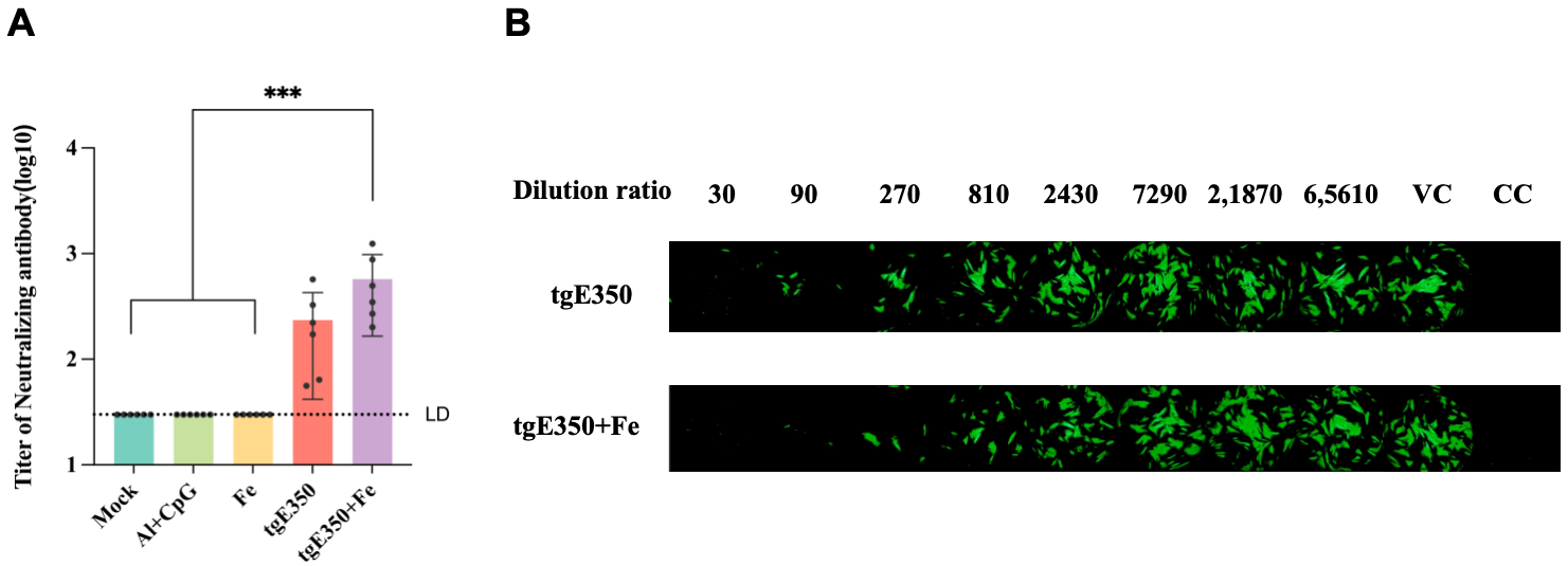 Vaccines 14 00069 g004