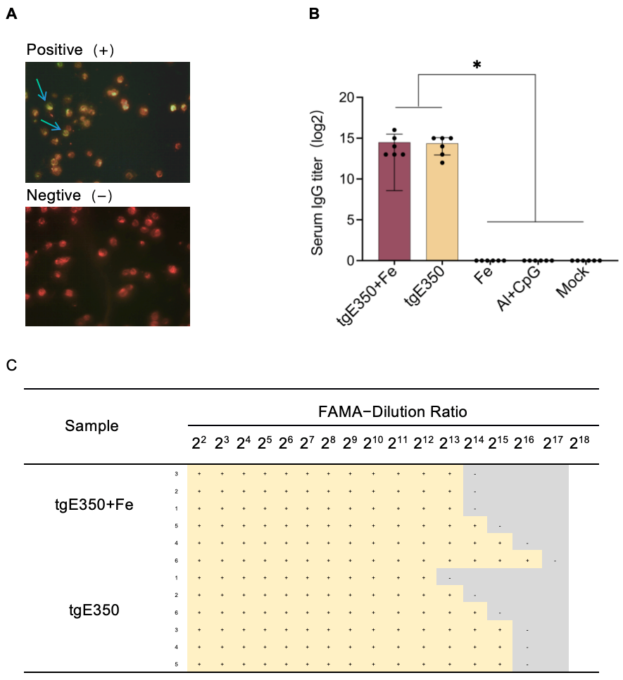 Vaccines 14 00069 g005