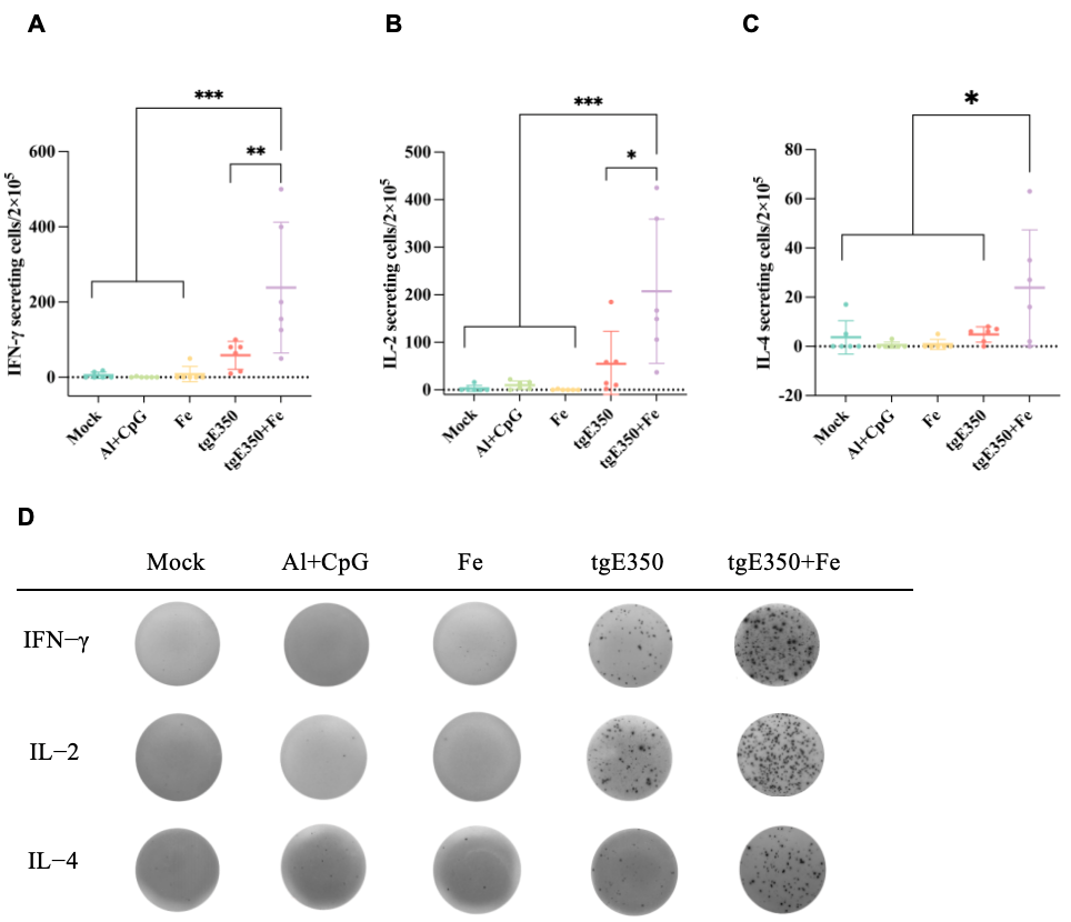 Vaccines 14 00069 g006