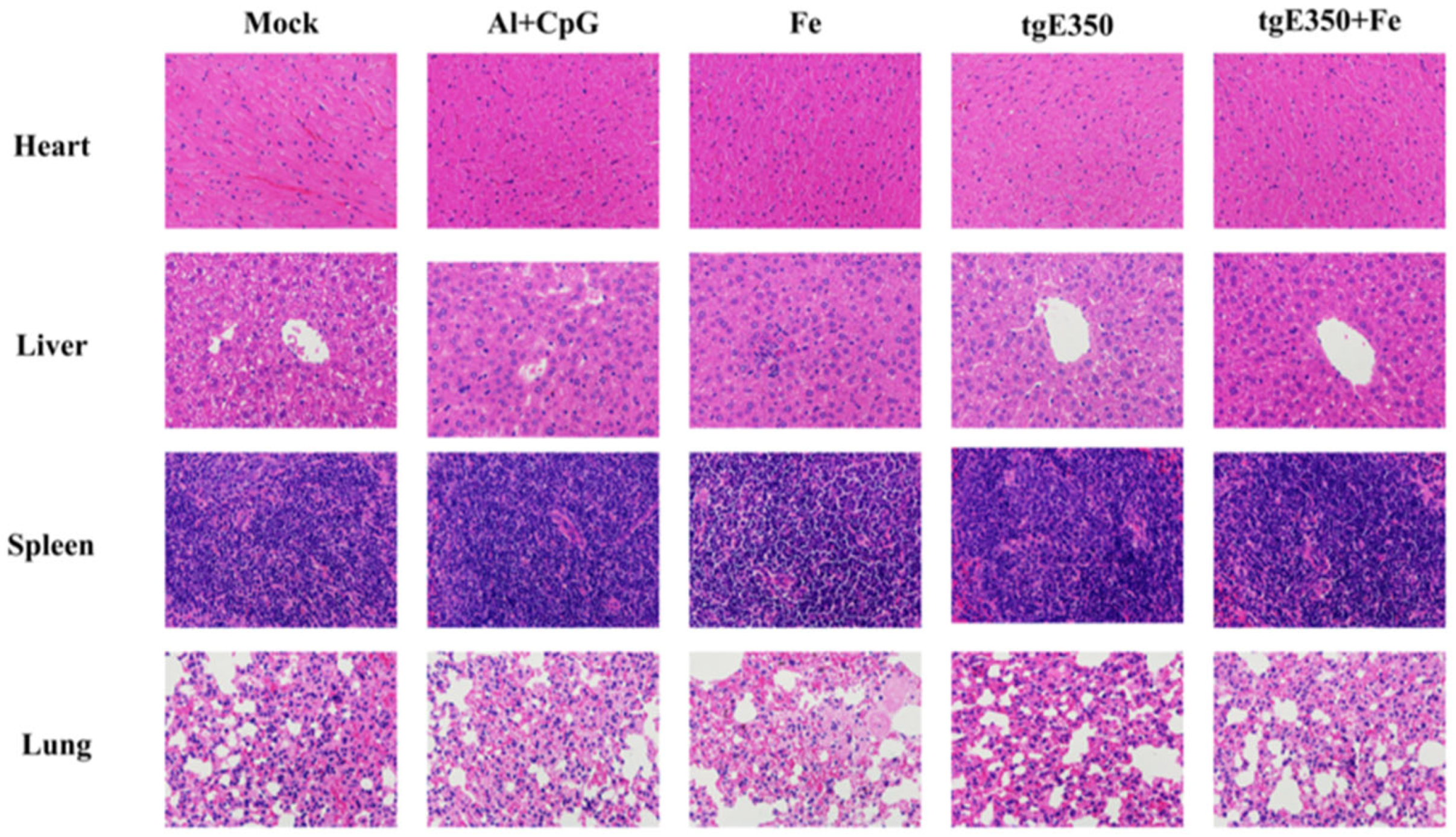 Vaccines 14 00069 g008