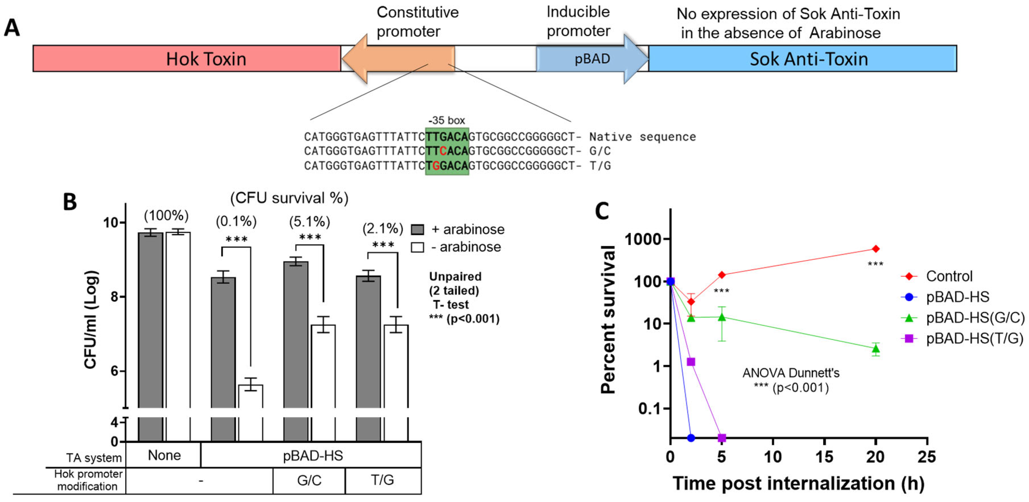 Vaccines 14 00089 g001 Vaccines 14 00089 g001