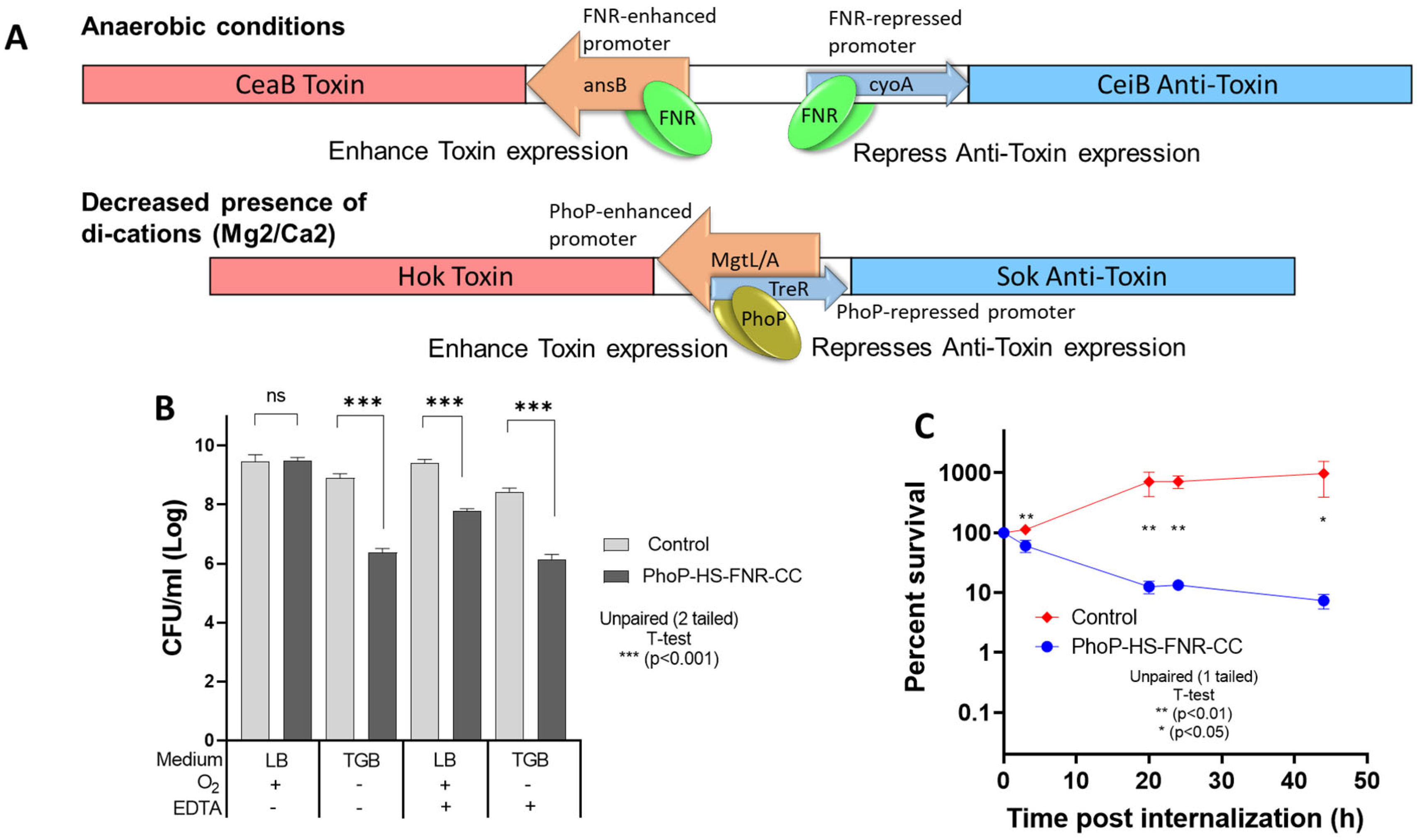 Vaccines 14 00089 g002 Vaccines 14 00089 g002