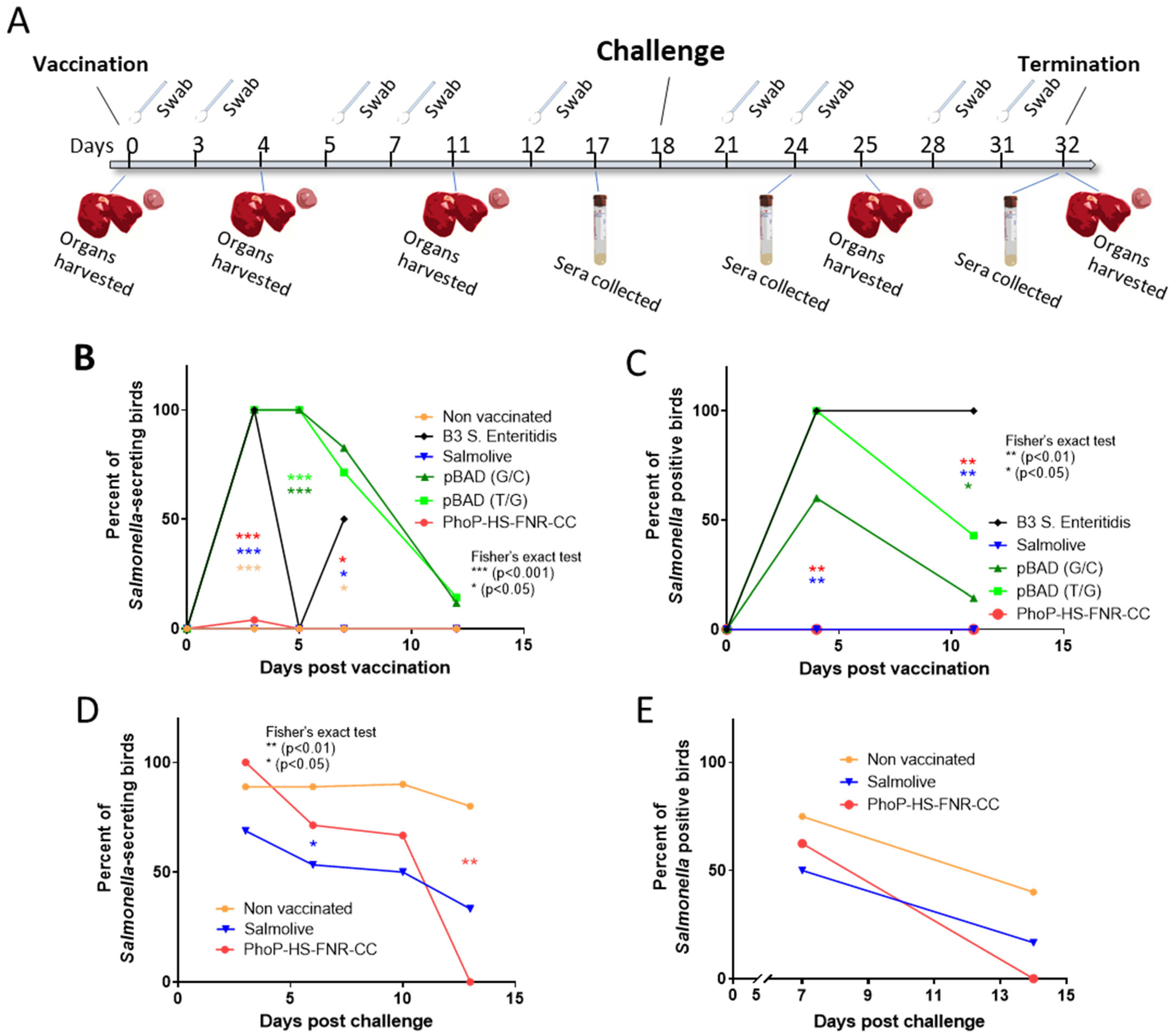 Vaccines 14 00089 g003 Vaccines 14 00089 g003
