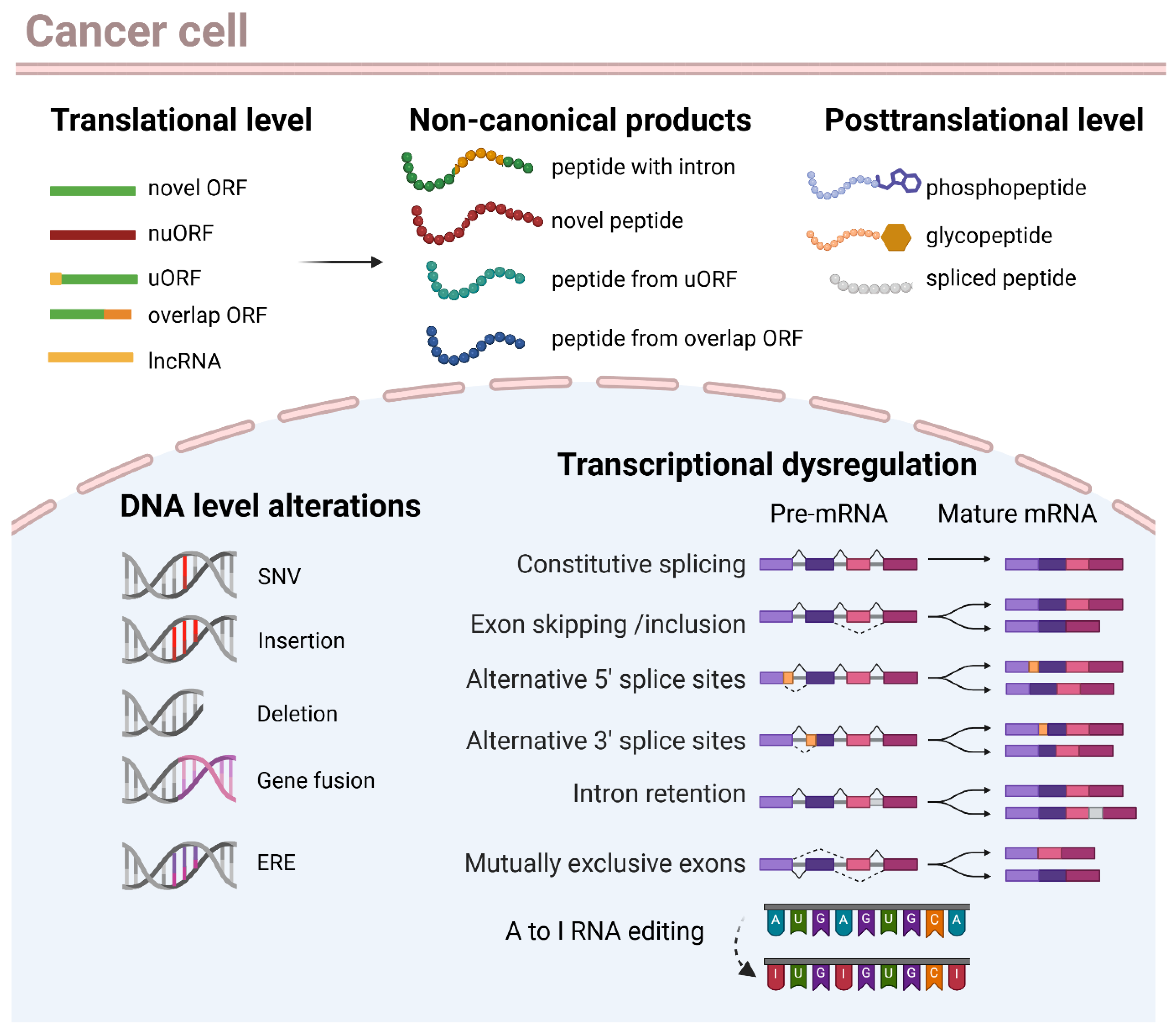 Vaccines 14 00104 g002 Vaccines 14 00104 g002