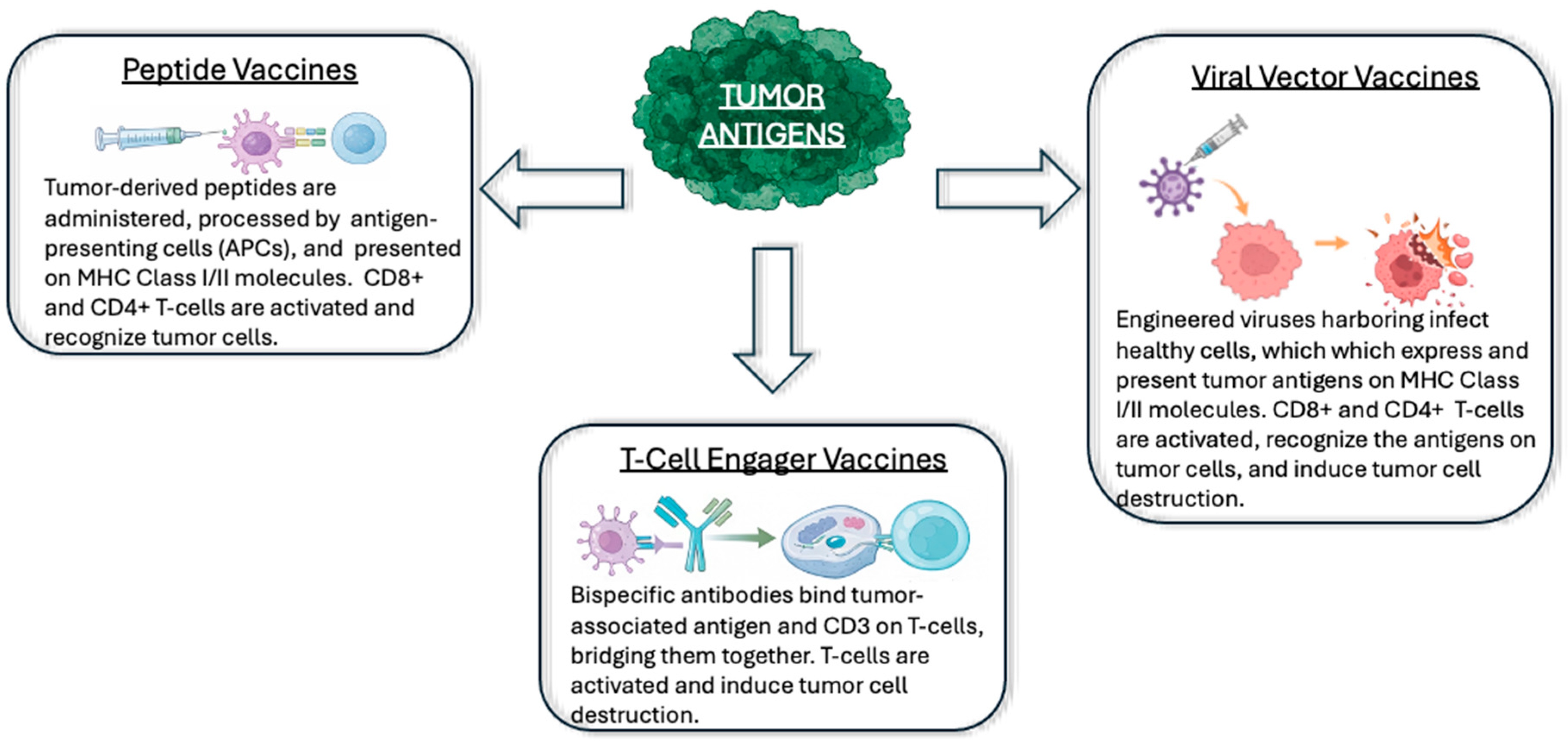Vaccines 14 00321 g002