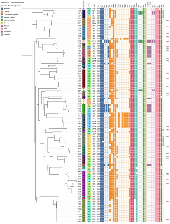 Genomic Characterization and Predictors of Mortality in Invasive ...