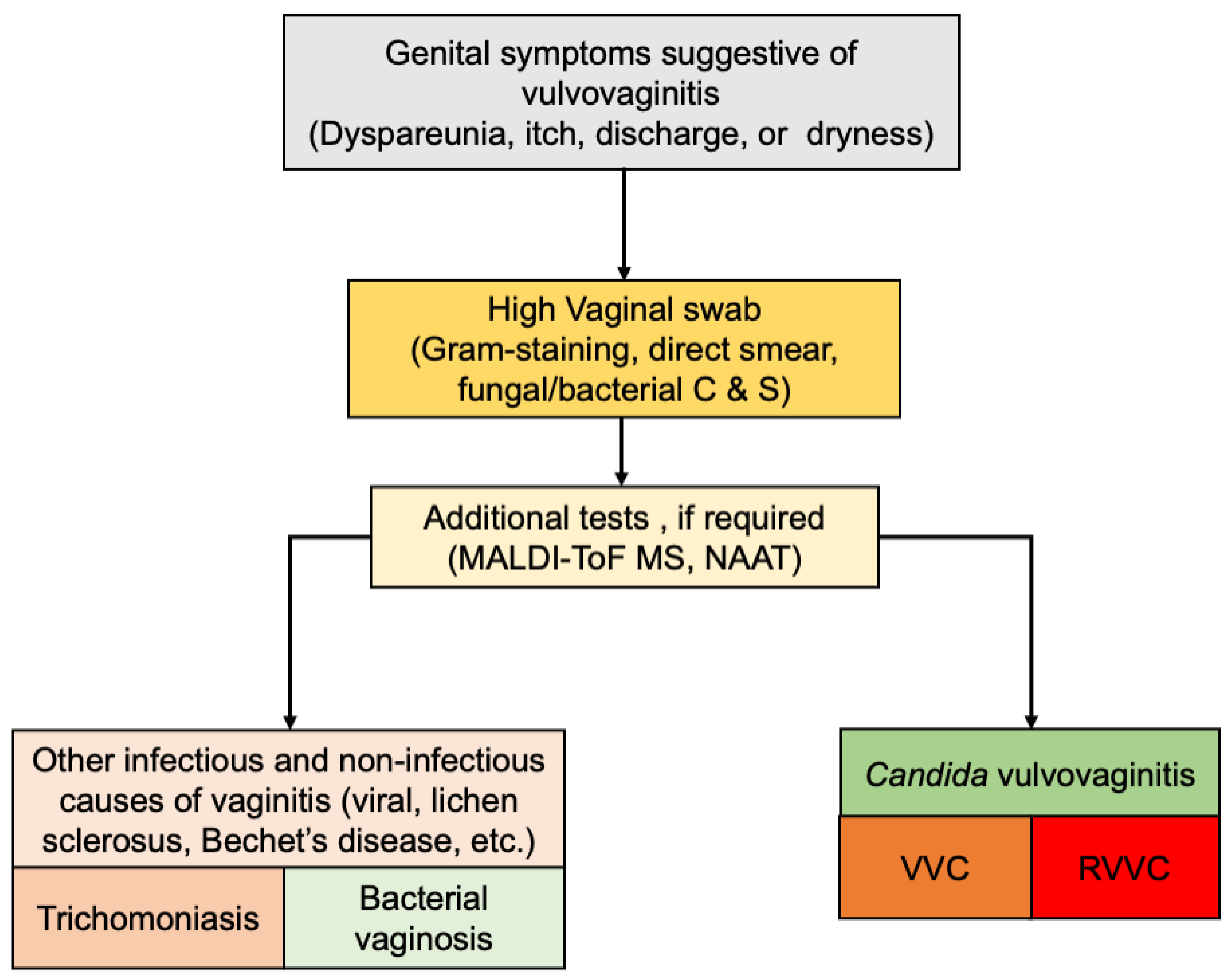 Recurrent on sale vulvovaginal candidiasis