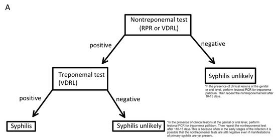 syphilis stages diagram