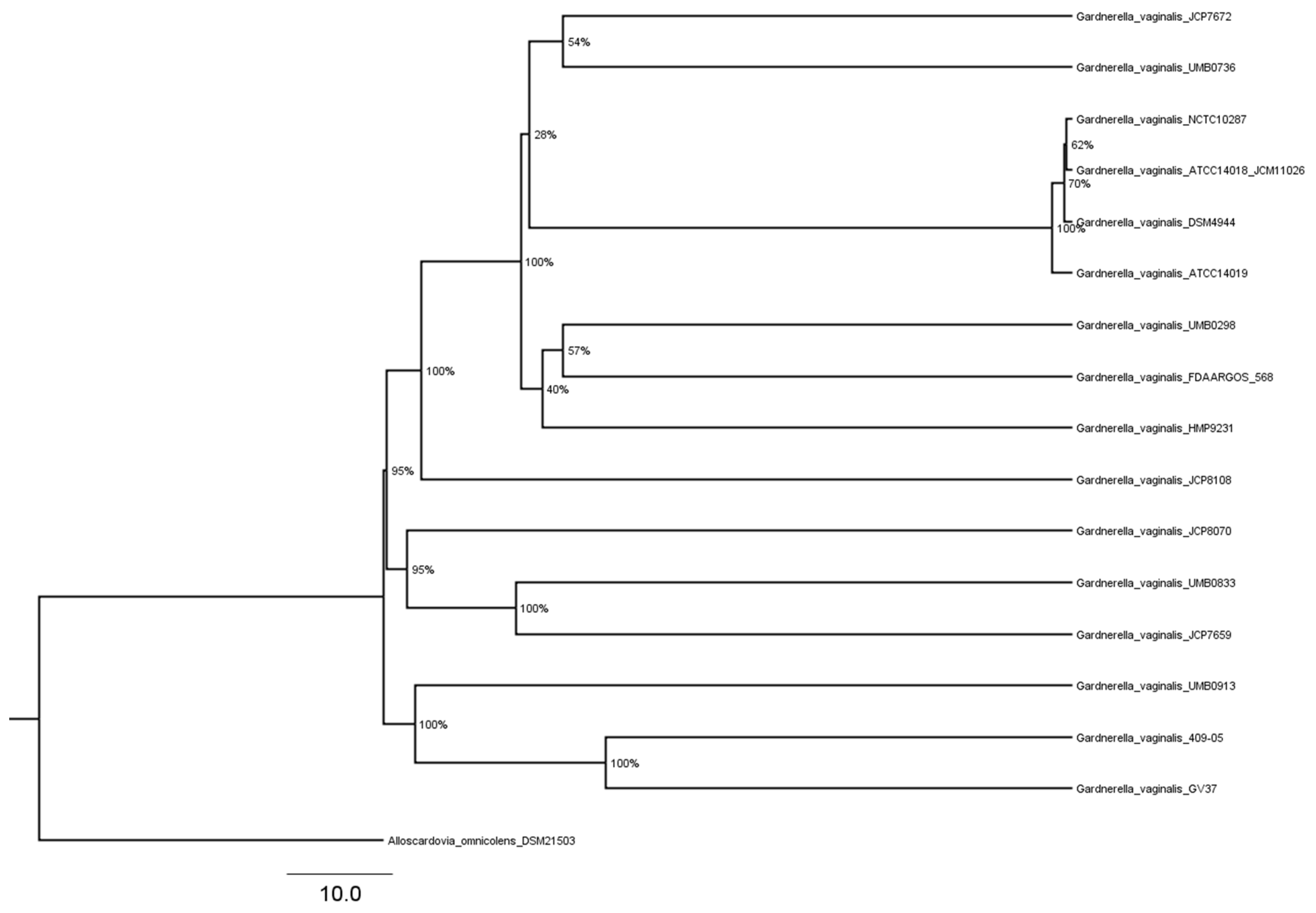 Venereology 02 00012 g002 Venereology 02 00012 g002