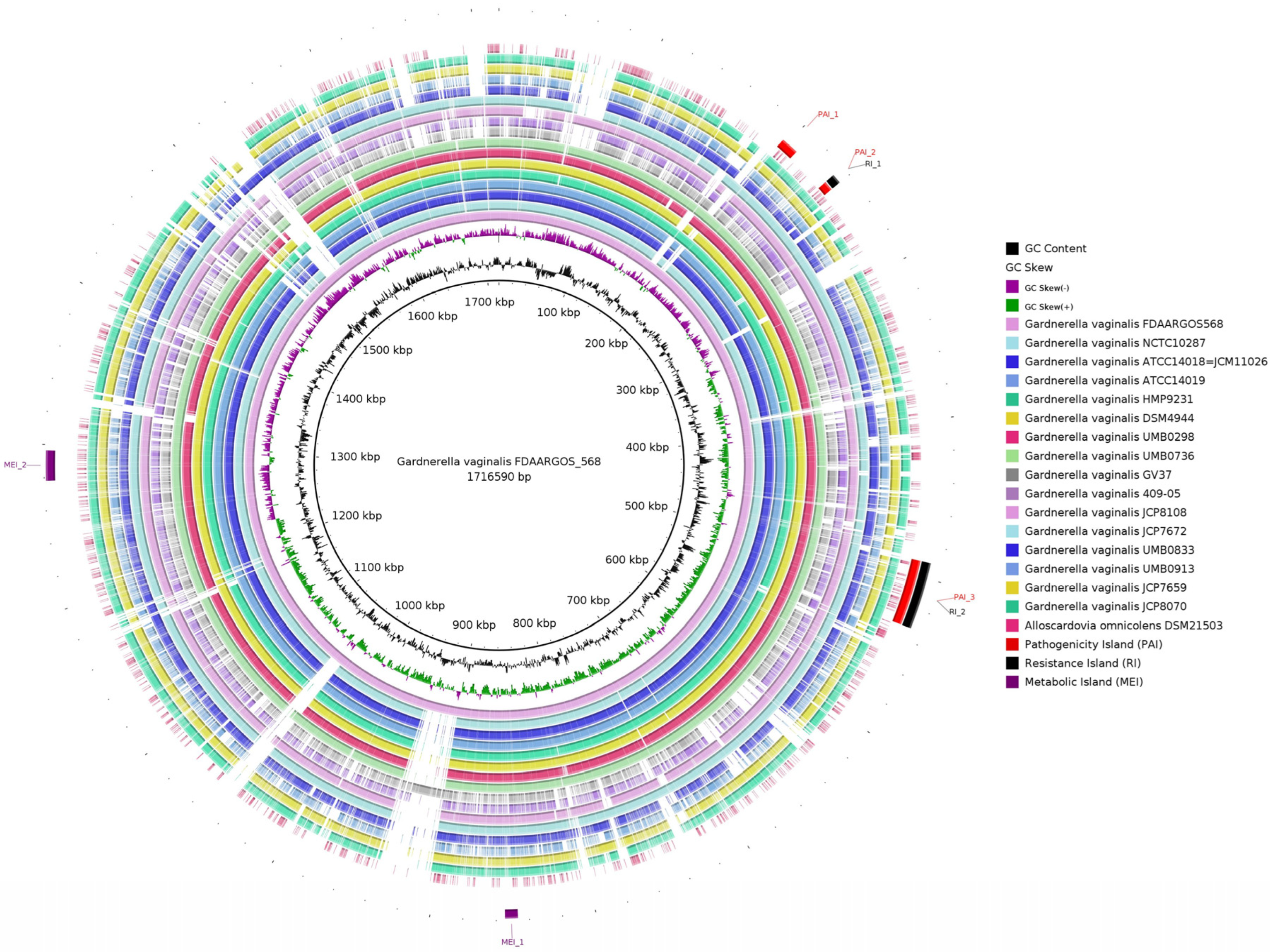 Venereology 02 00012 g003 Venereology 02 00012 g003
