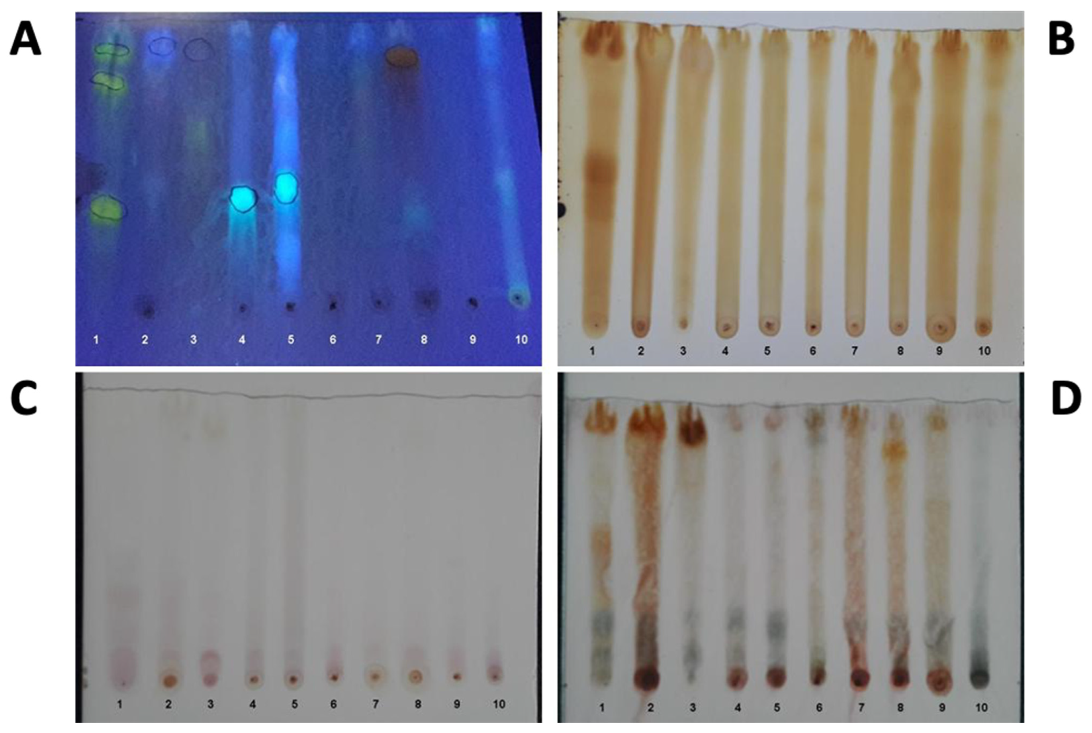 Venereology 03 00002 g004 Venereology 03 00002 g004