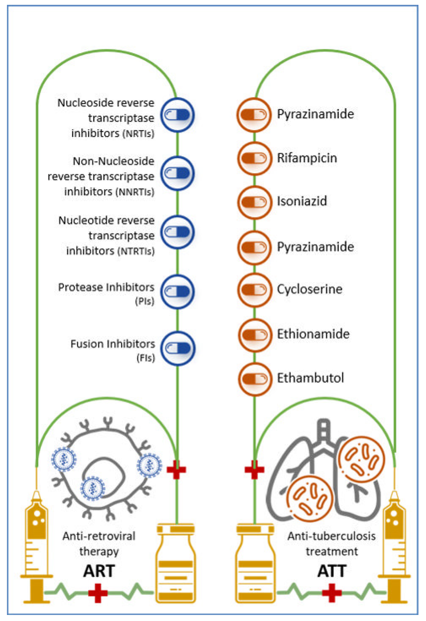 Venereology 03 00015 g002