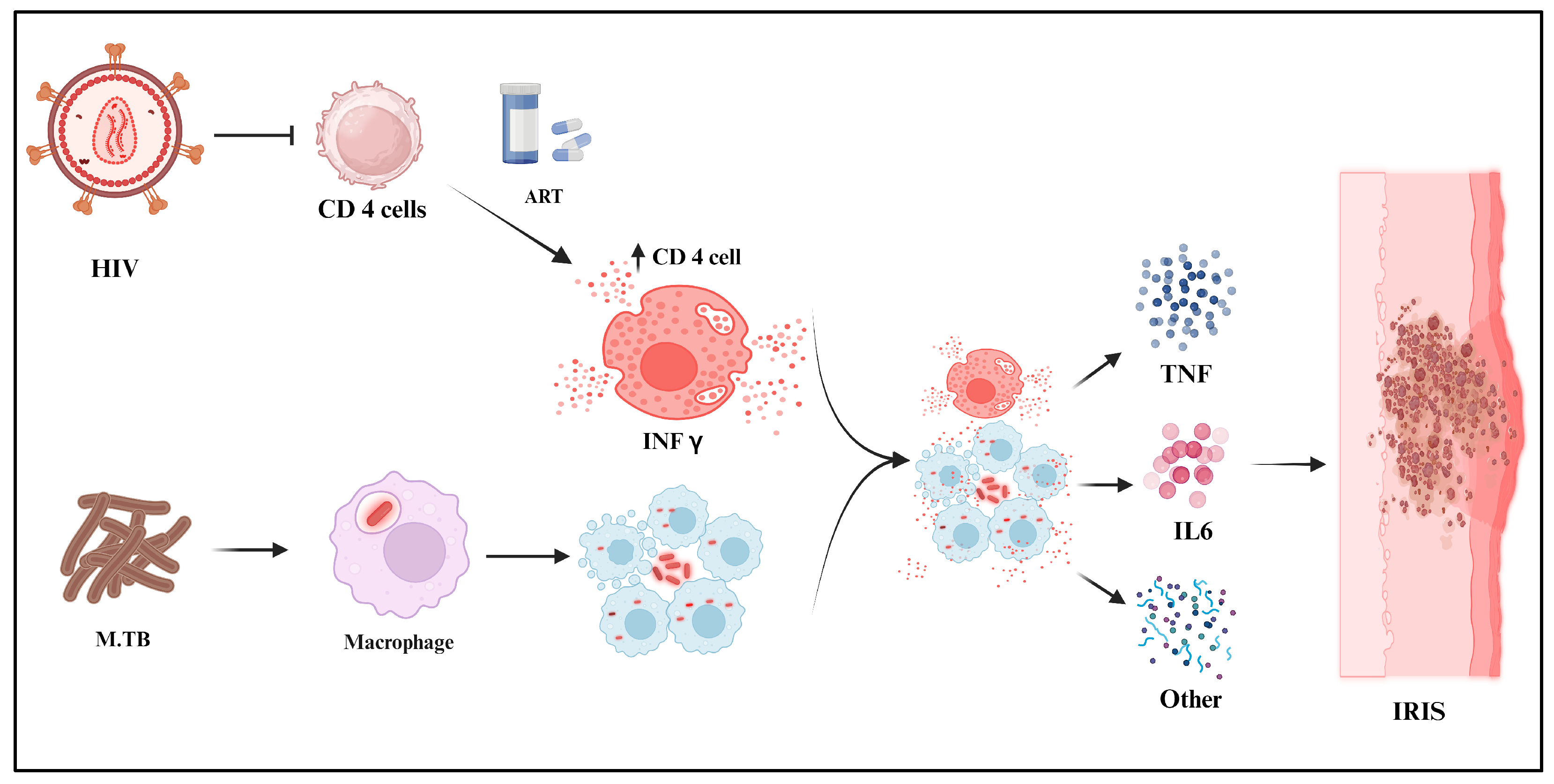 Venereology 03 00015 g003