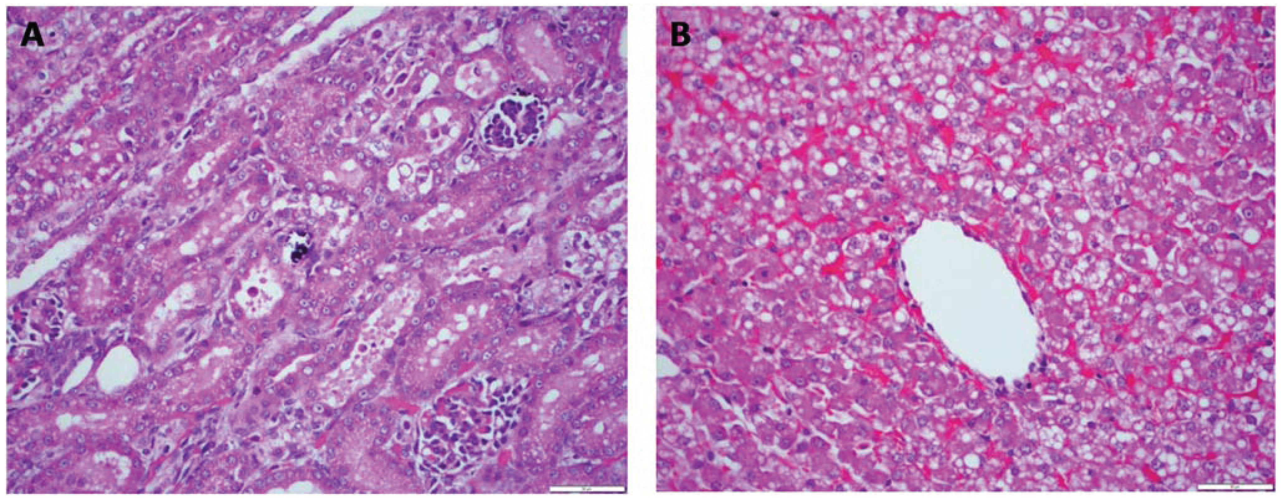 Vetsci 01 00150 g001 1024