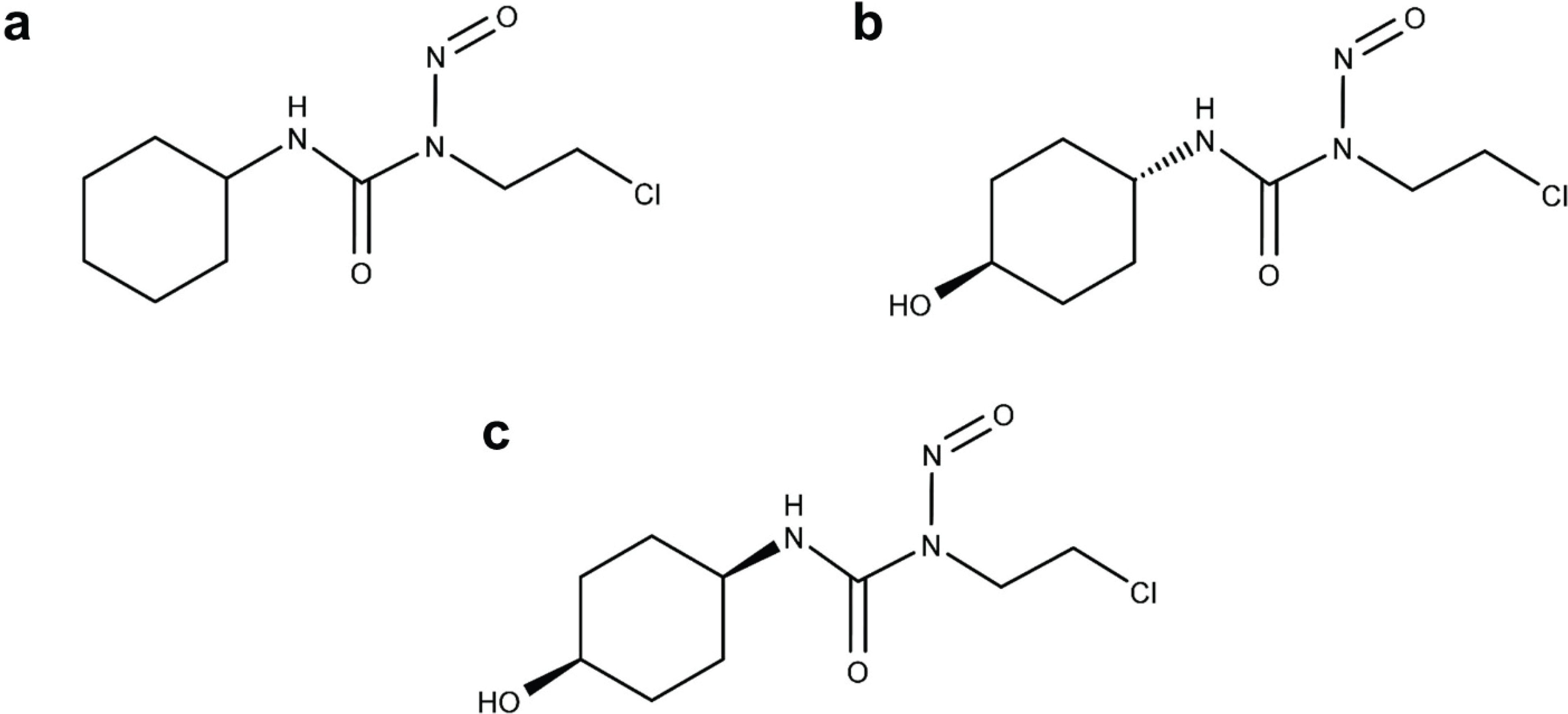 Vetsci 01 00159 g001 1024