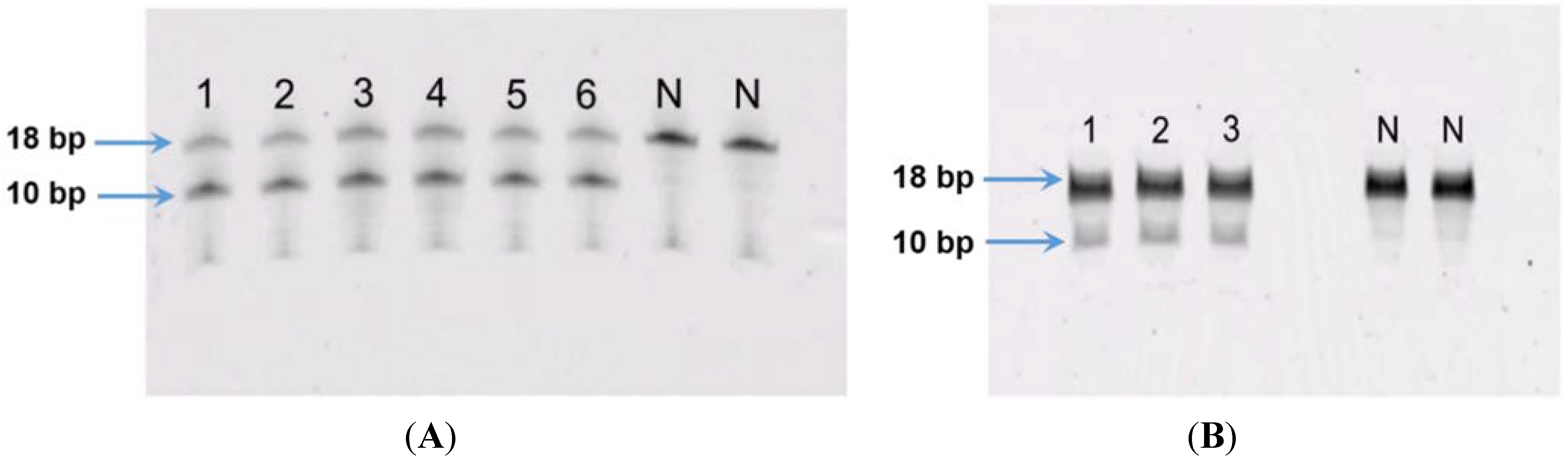 Vetsci 02 00052 g007 1024