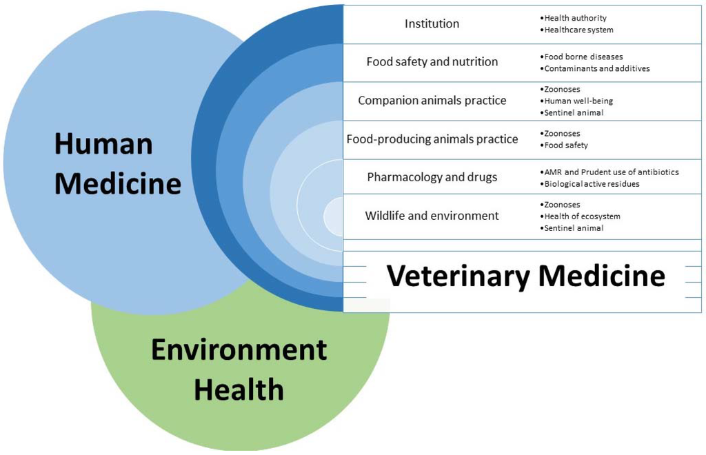 Veterinary Sciences Free FullText From “One Health” to “One