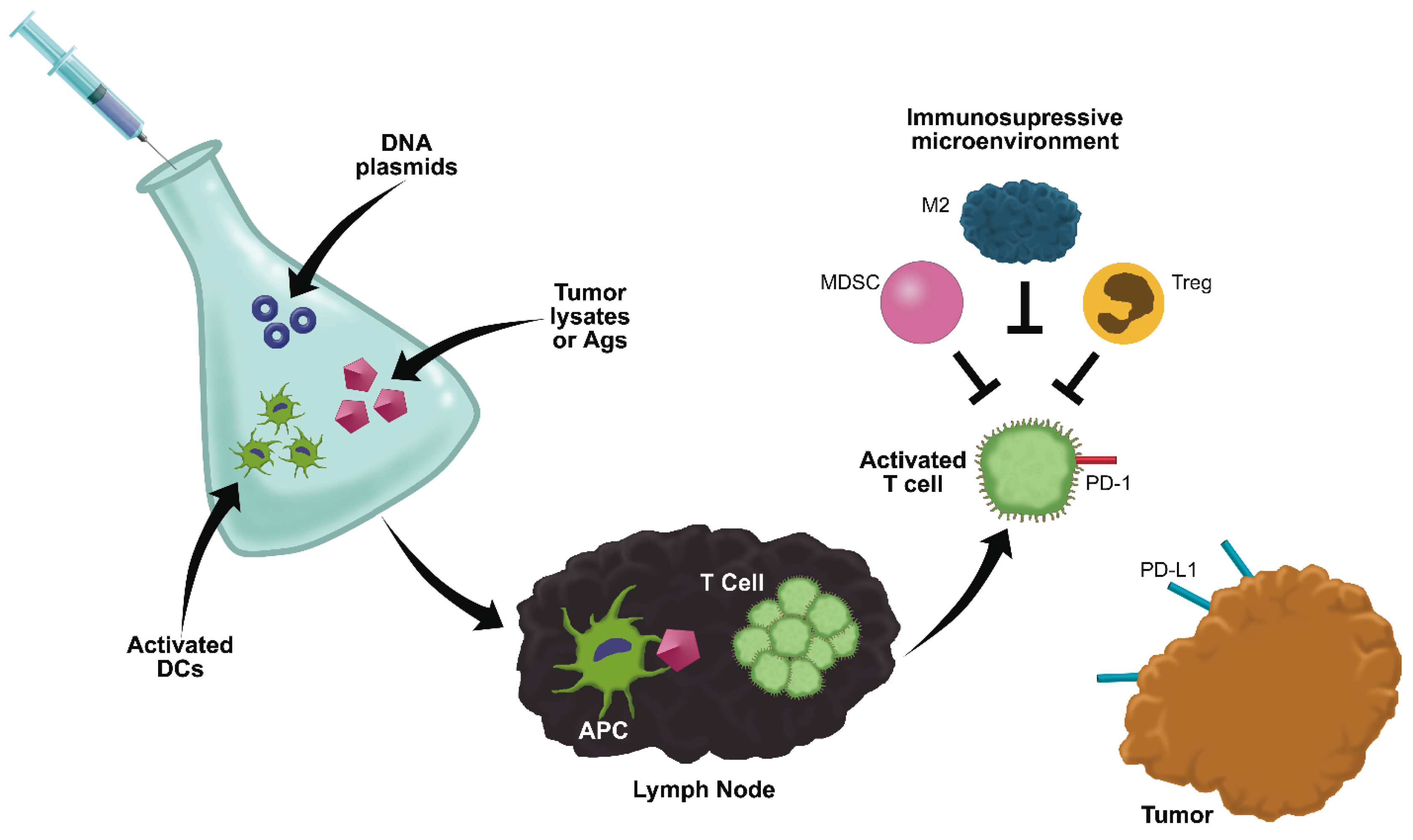 Vetsci 02 00363 g003
