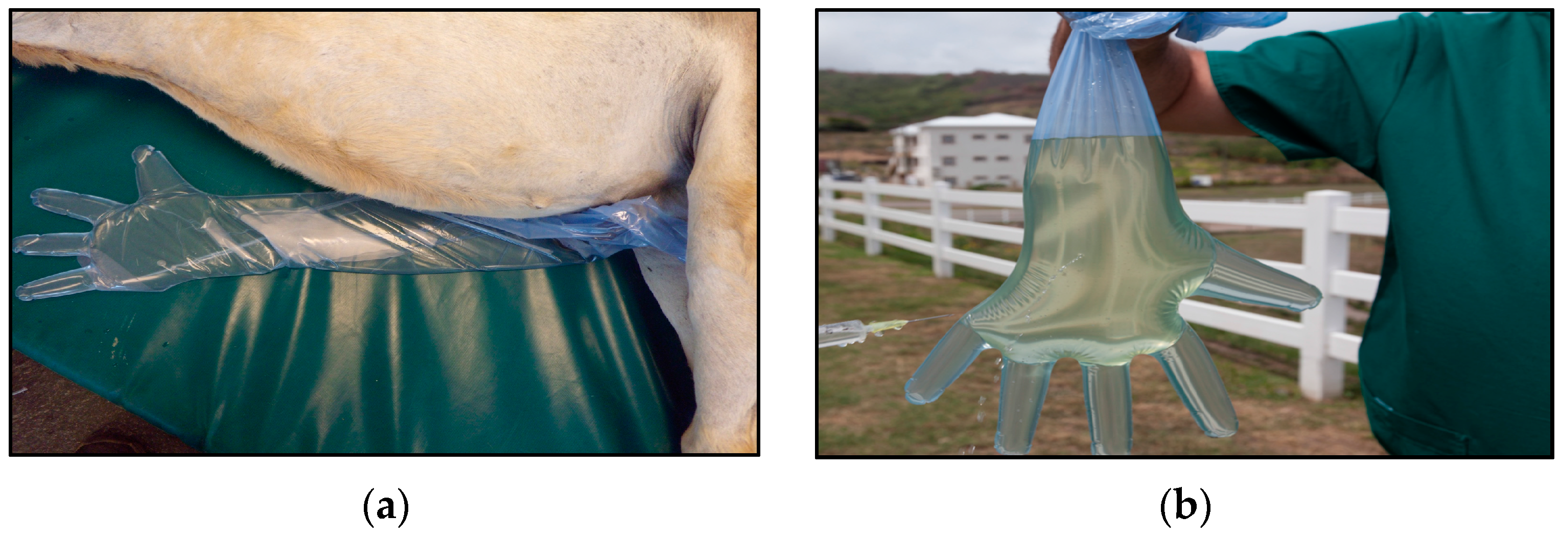 Vetsci 04 00002 g001