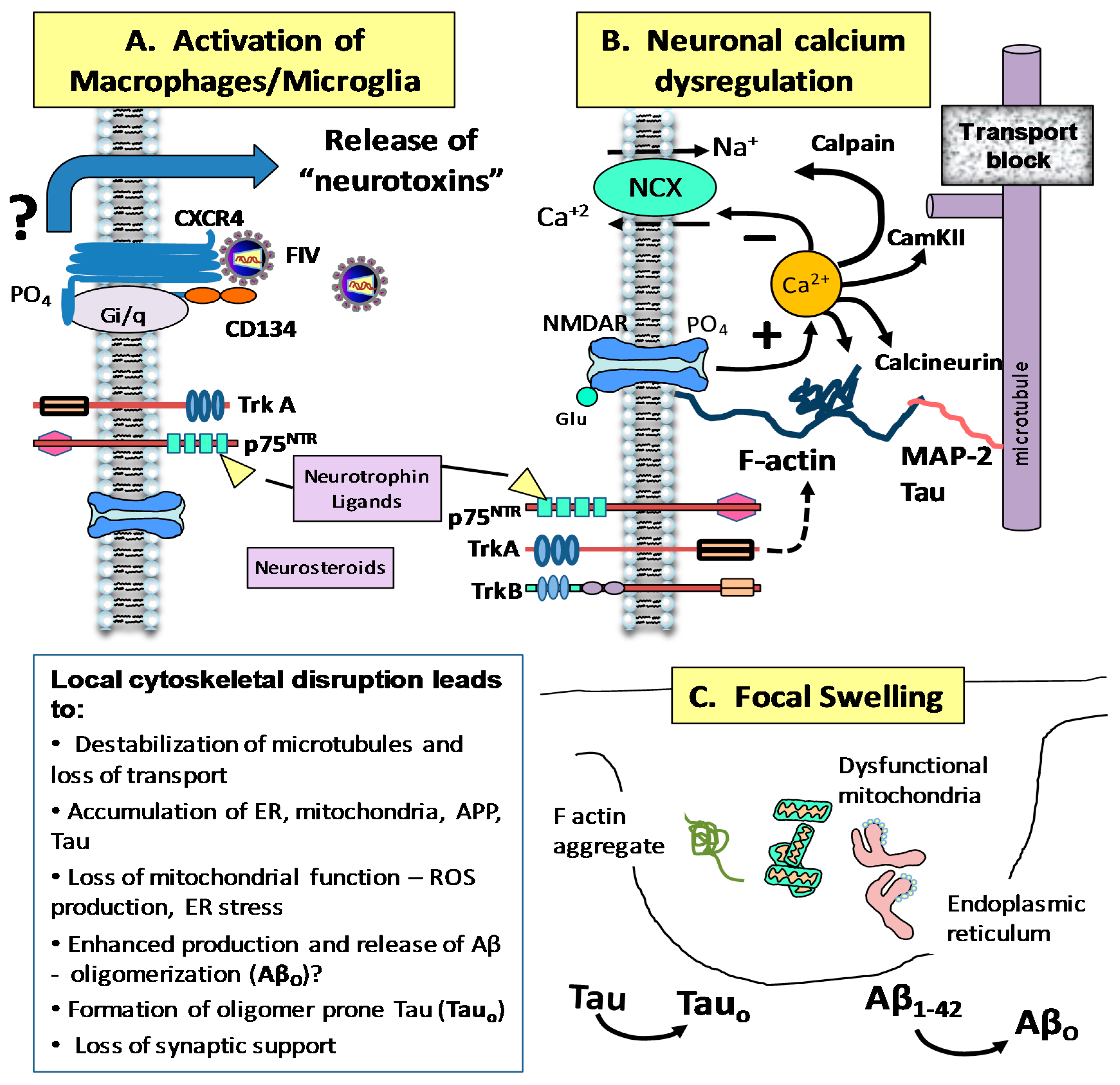 Vetsci 04 00014 g006