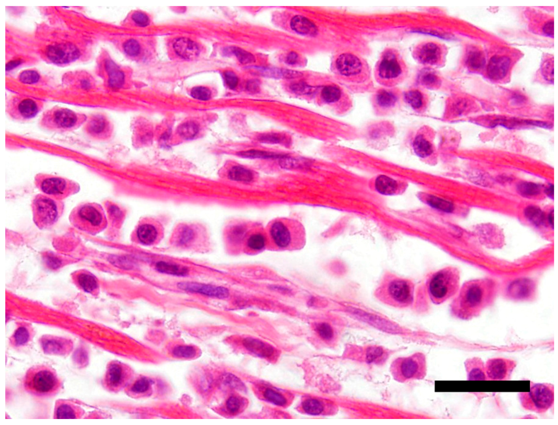 Vetsci 05 00010 g002 550