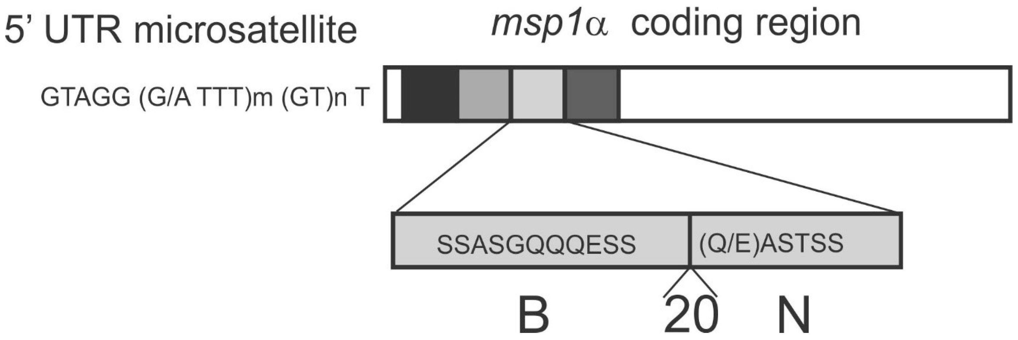 Vetsci 05 00026 g002 Vetsci 05 00026 g002