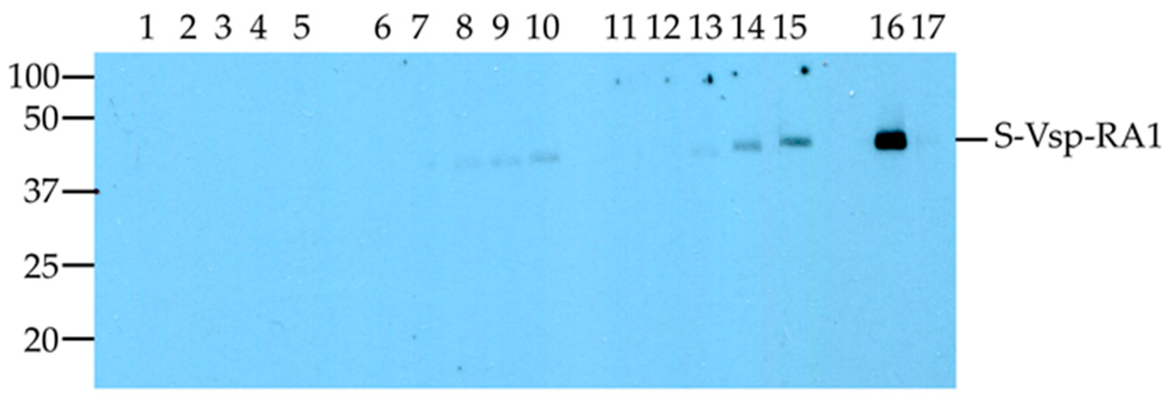 Vetsci 05 00027 g002 Vetsci 05 00027 g002