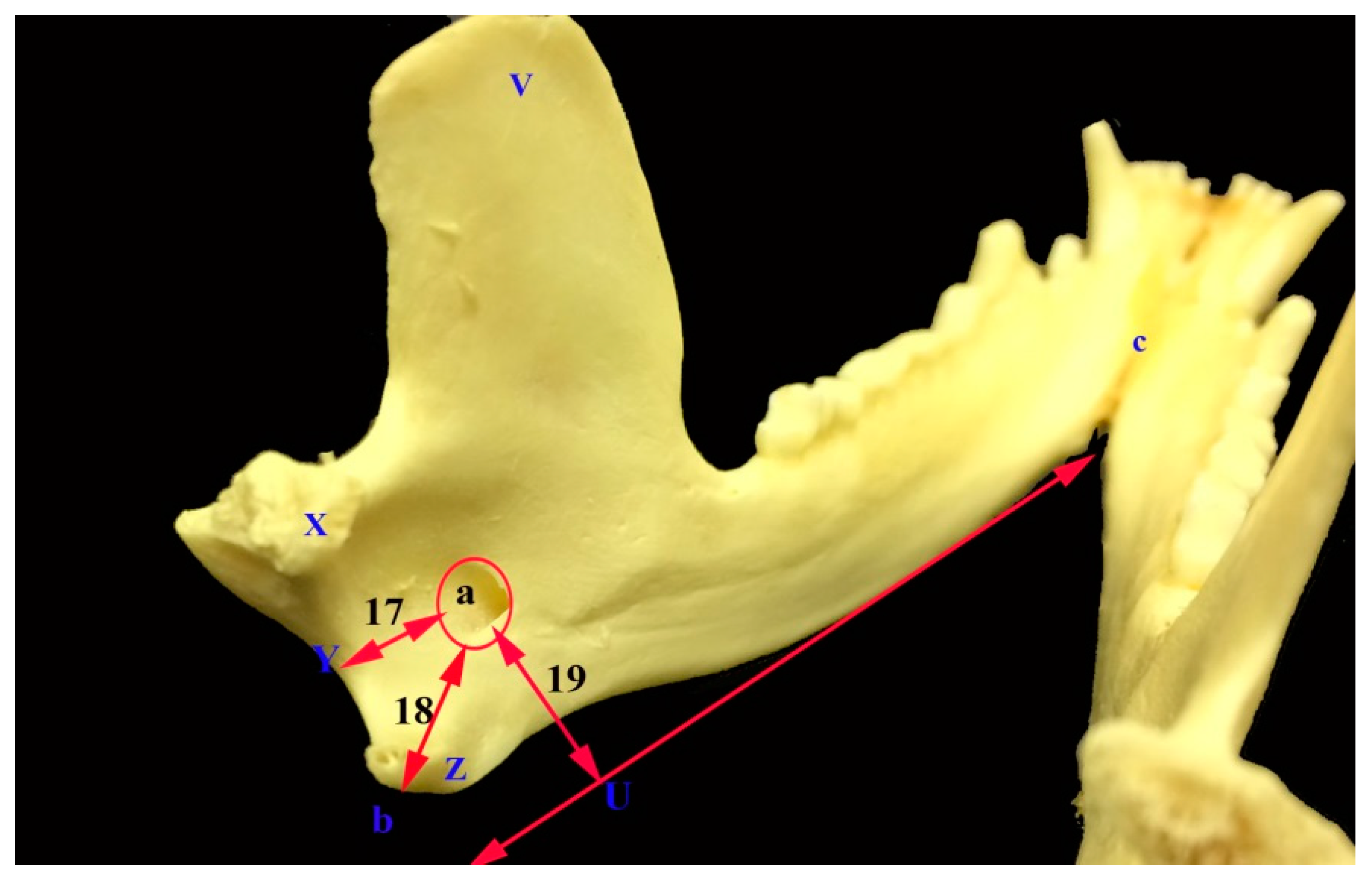 Vetsci 05 00029 g006