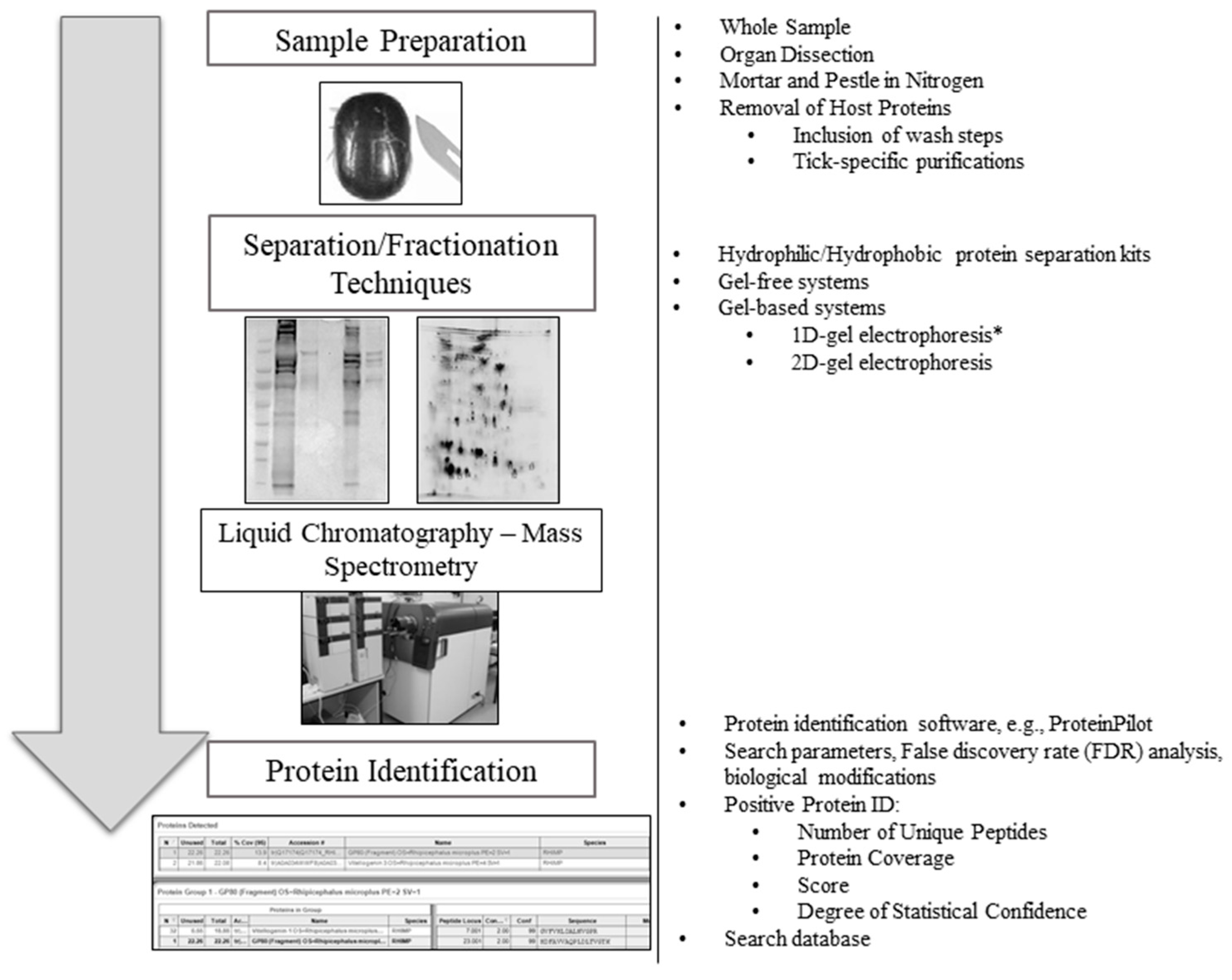 Vetsci 05 00030 g005
