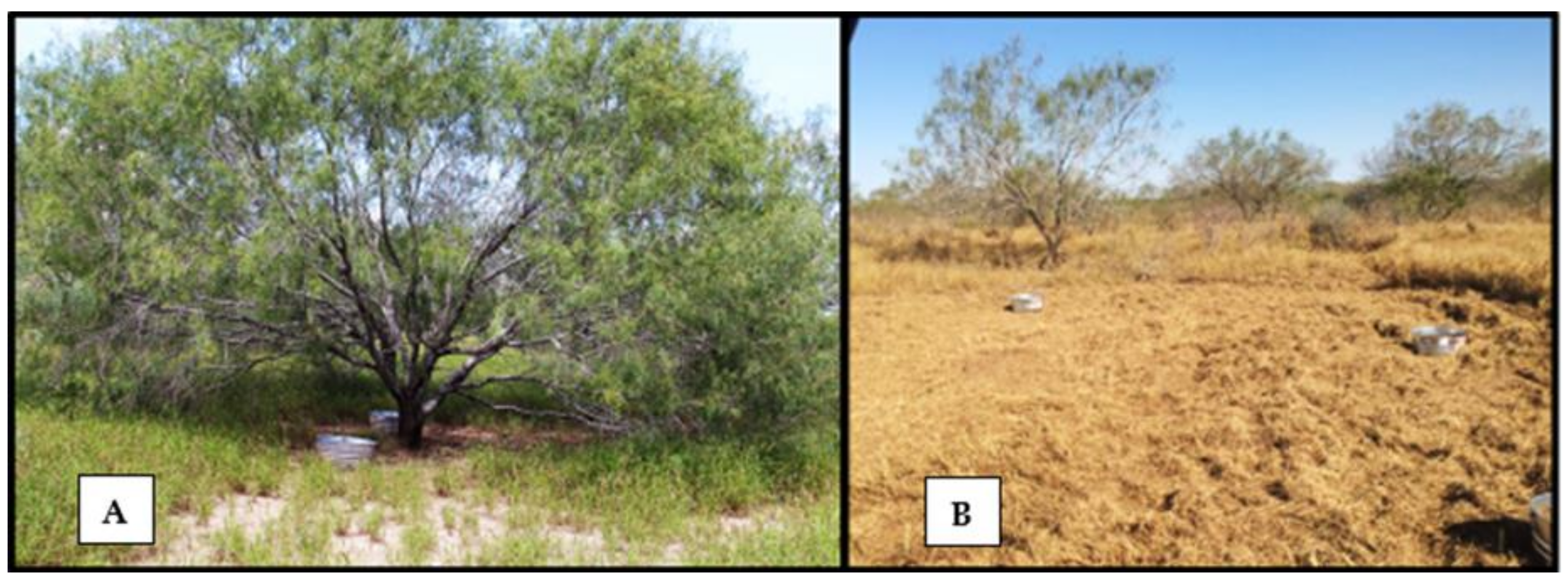 Vetsci 05 00033 g003 550