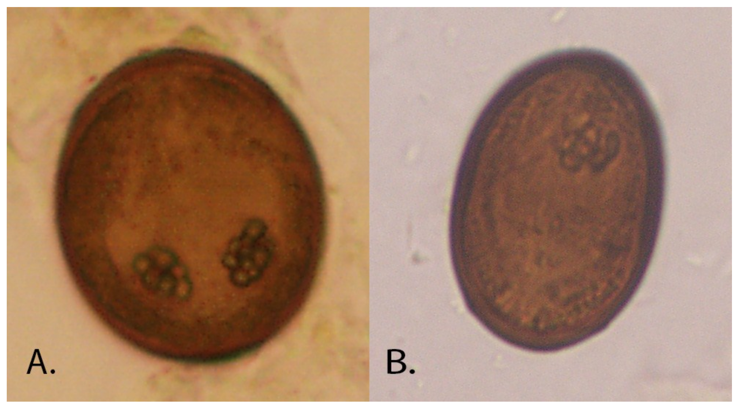Vetsci 05 00035 g002 550