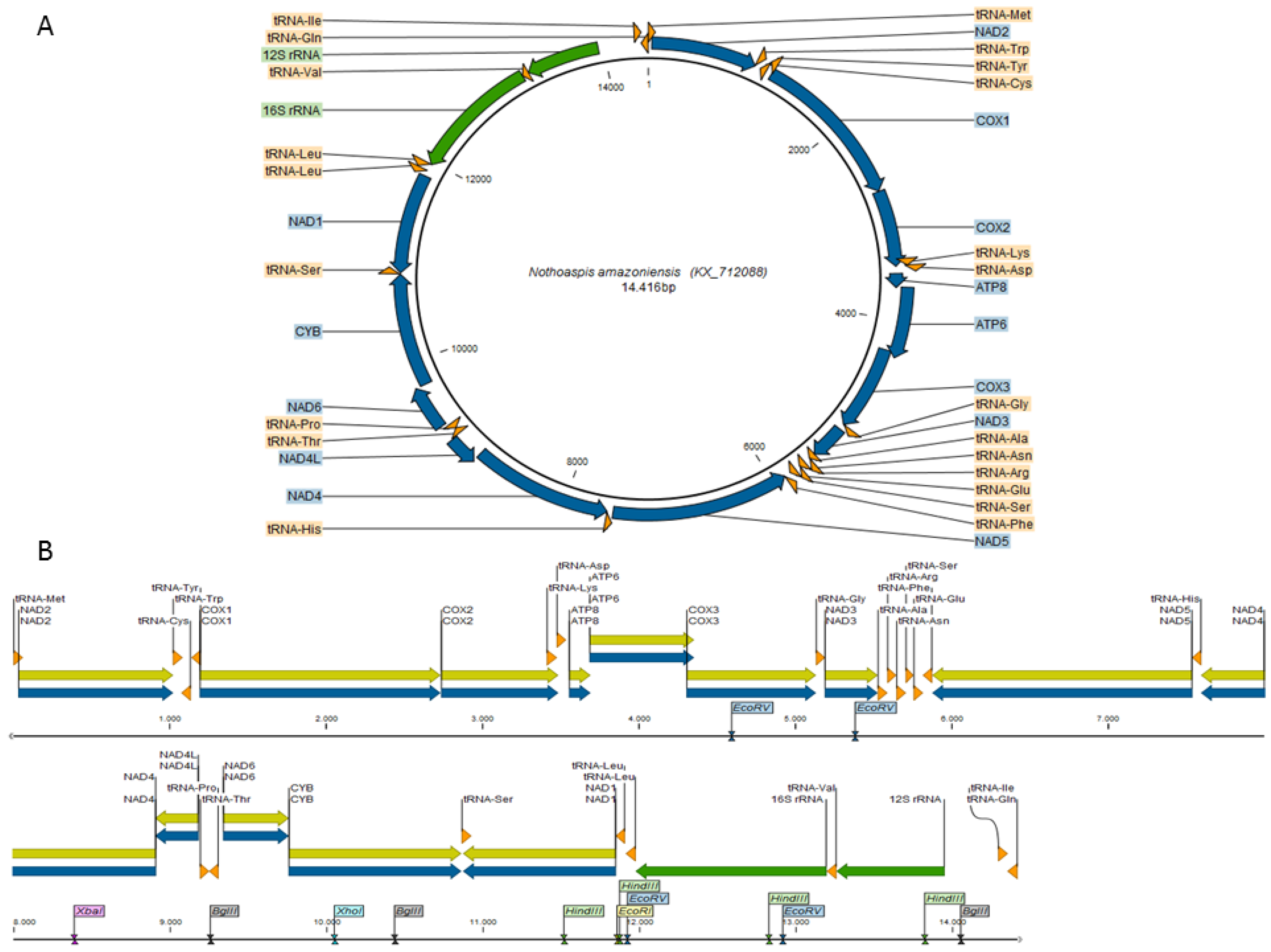 Vetsci 05 00037 g001