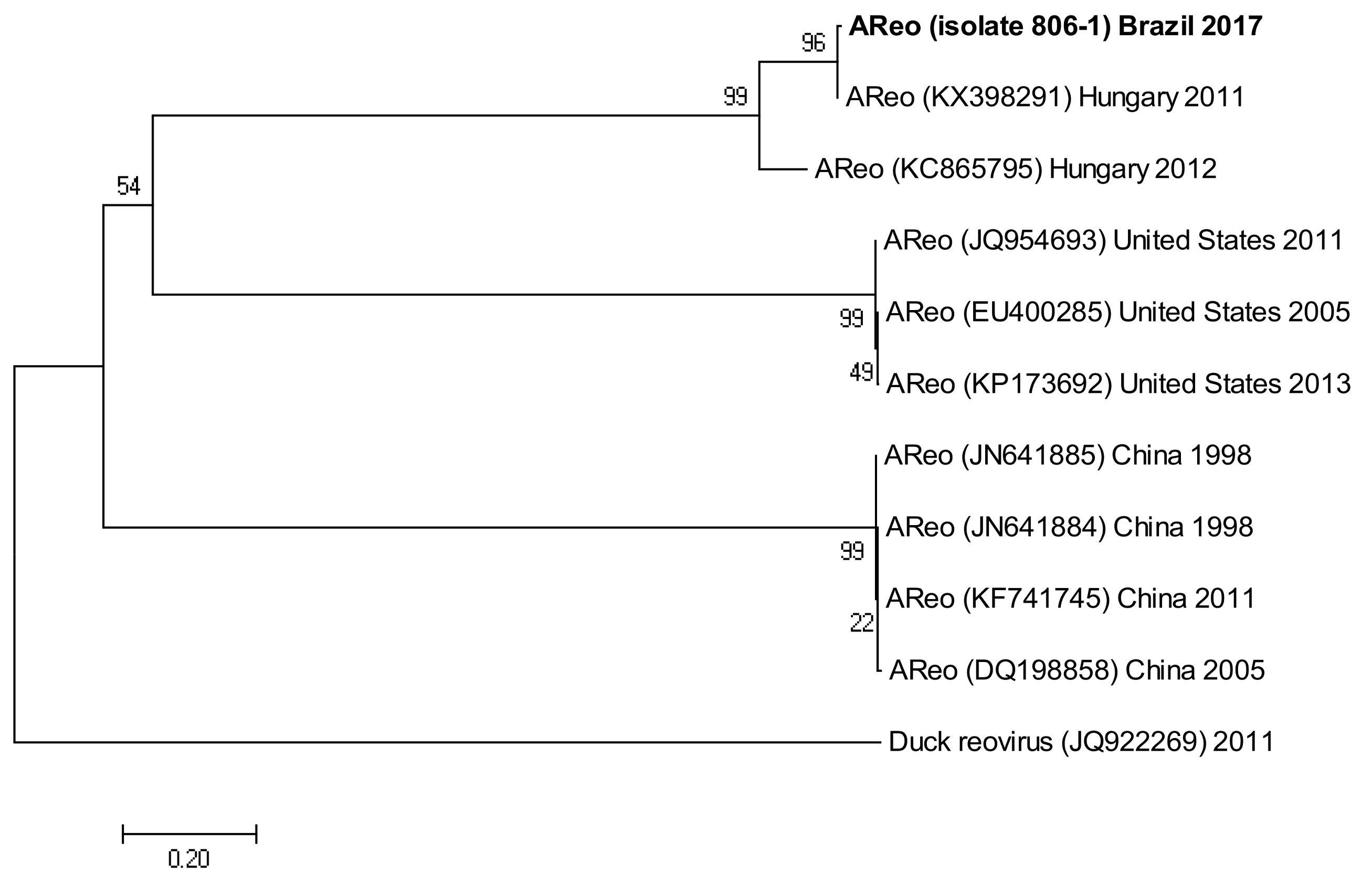Vetsci 05 00038 g004