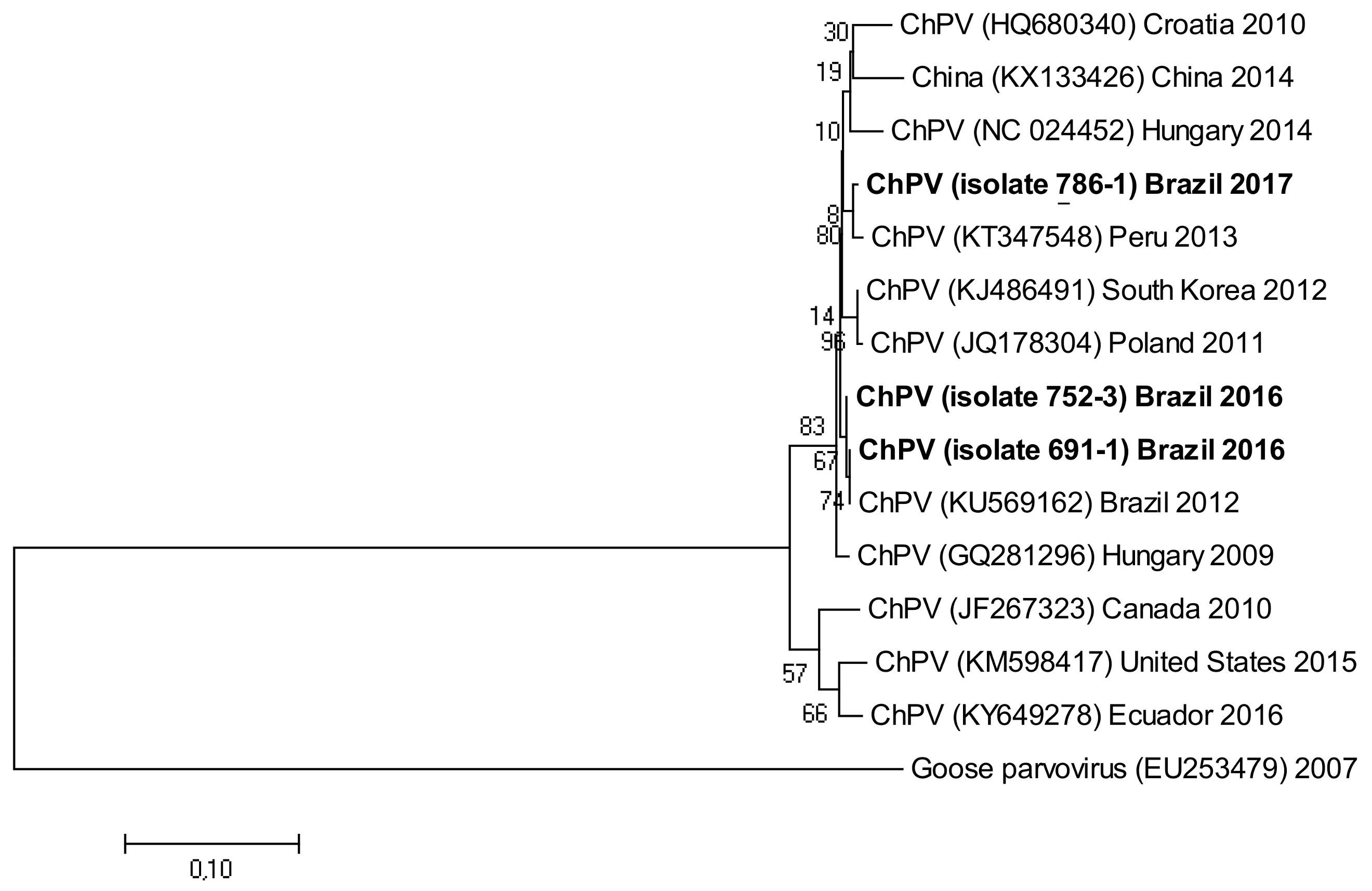 Vetsci 05 00038 g005