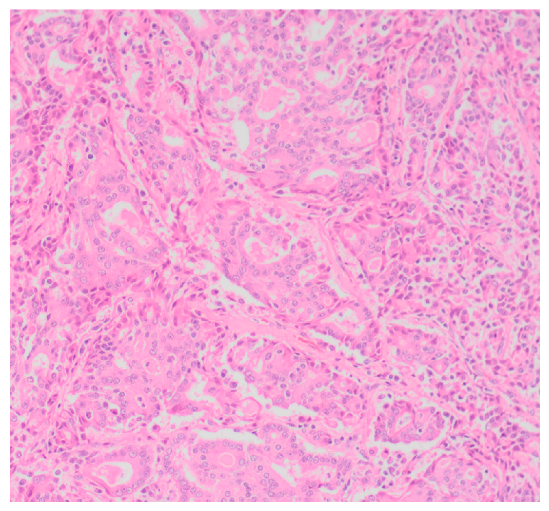 Vetsci 05 00046 g001 550