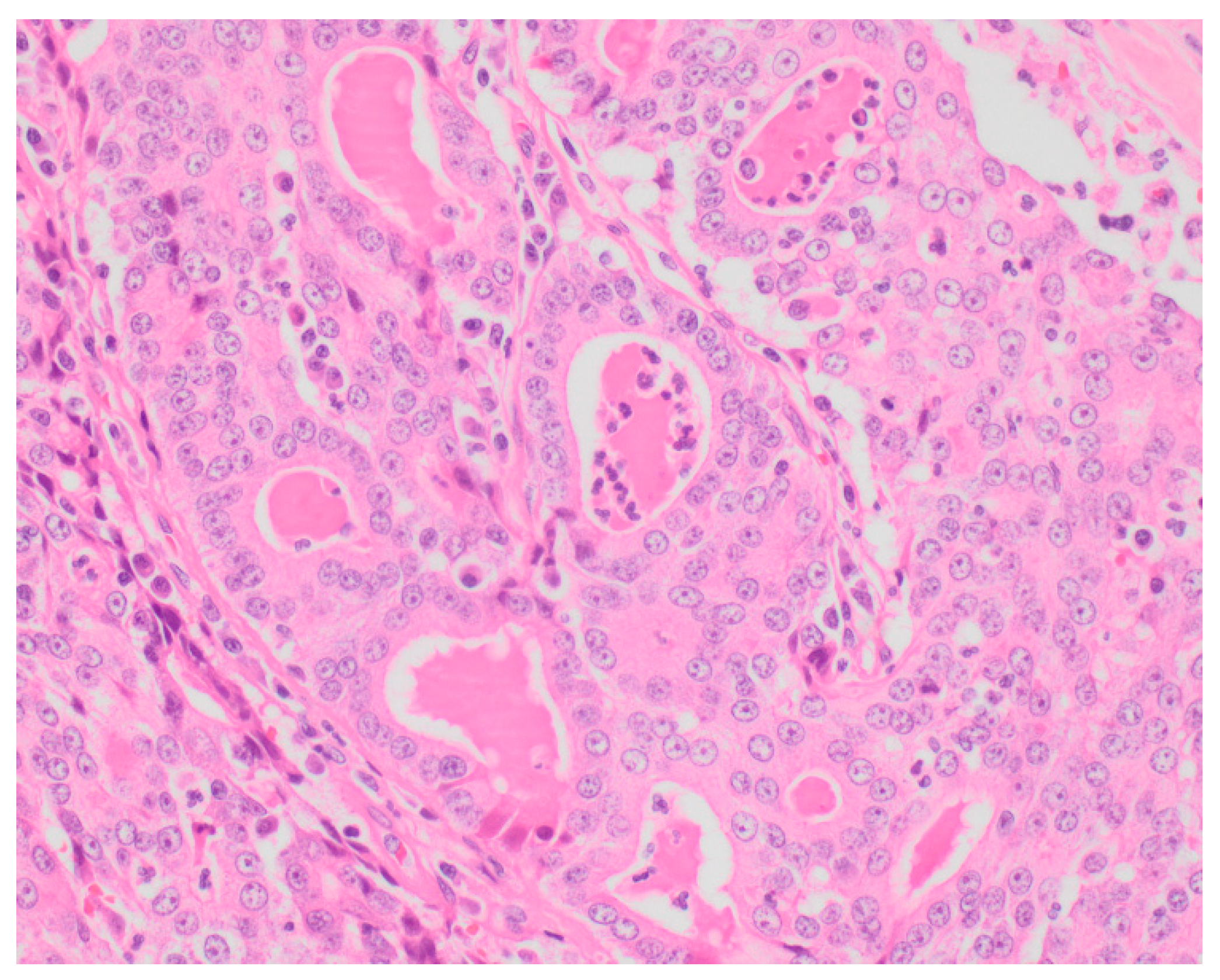 Vetsci 05 00046 g002 550